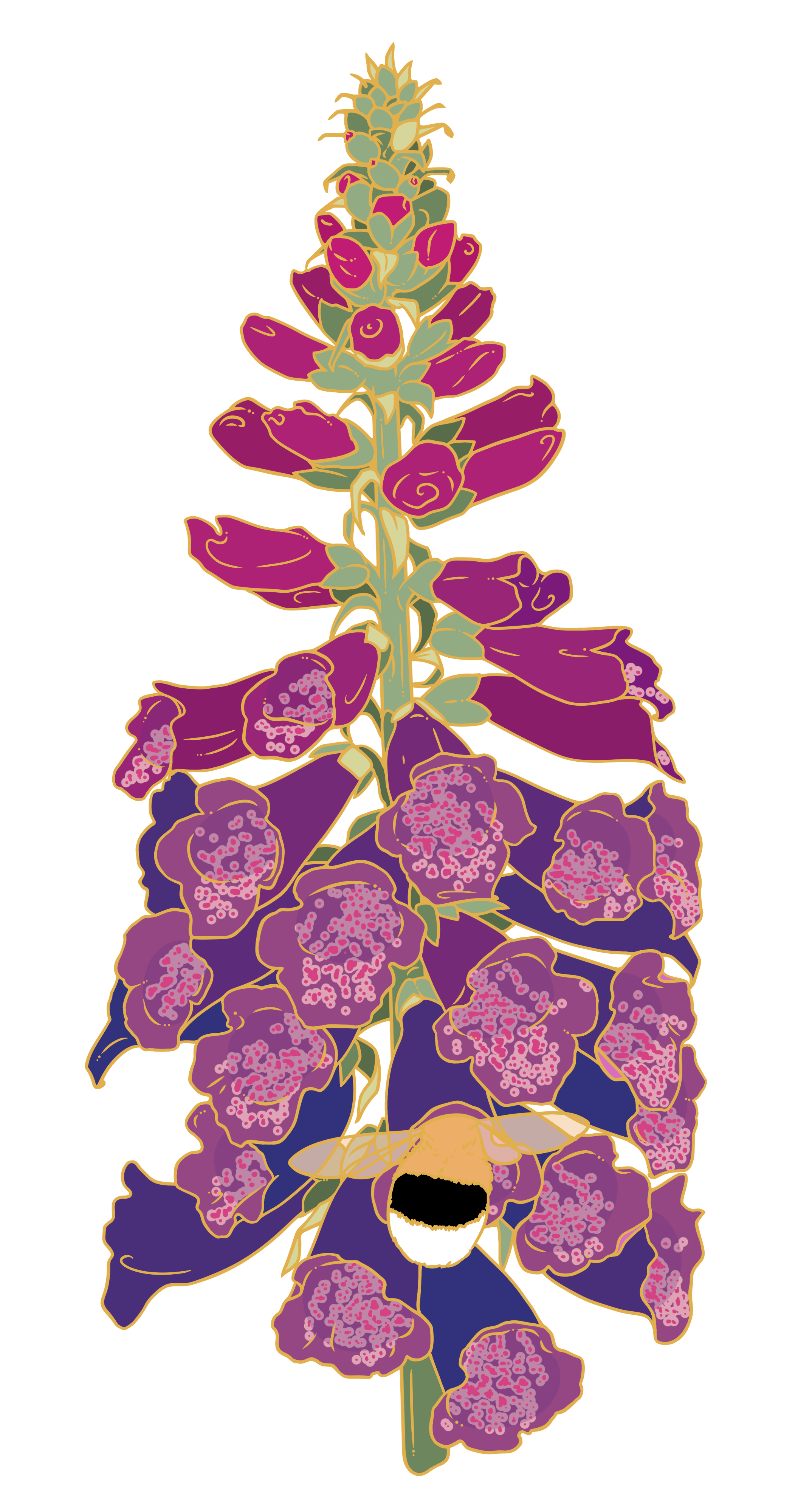 Bright Purple Foxglove Large Pin	