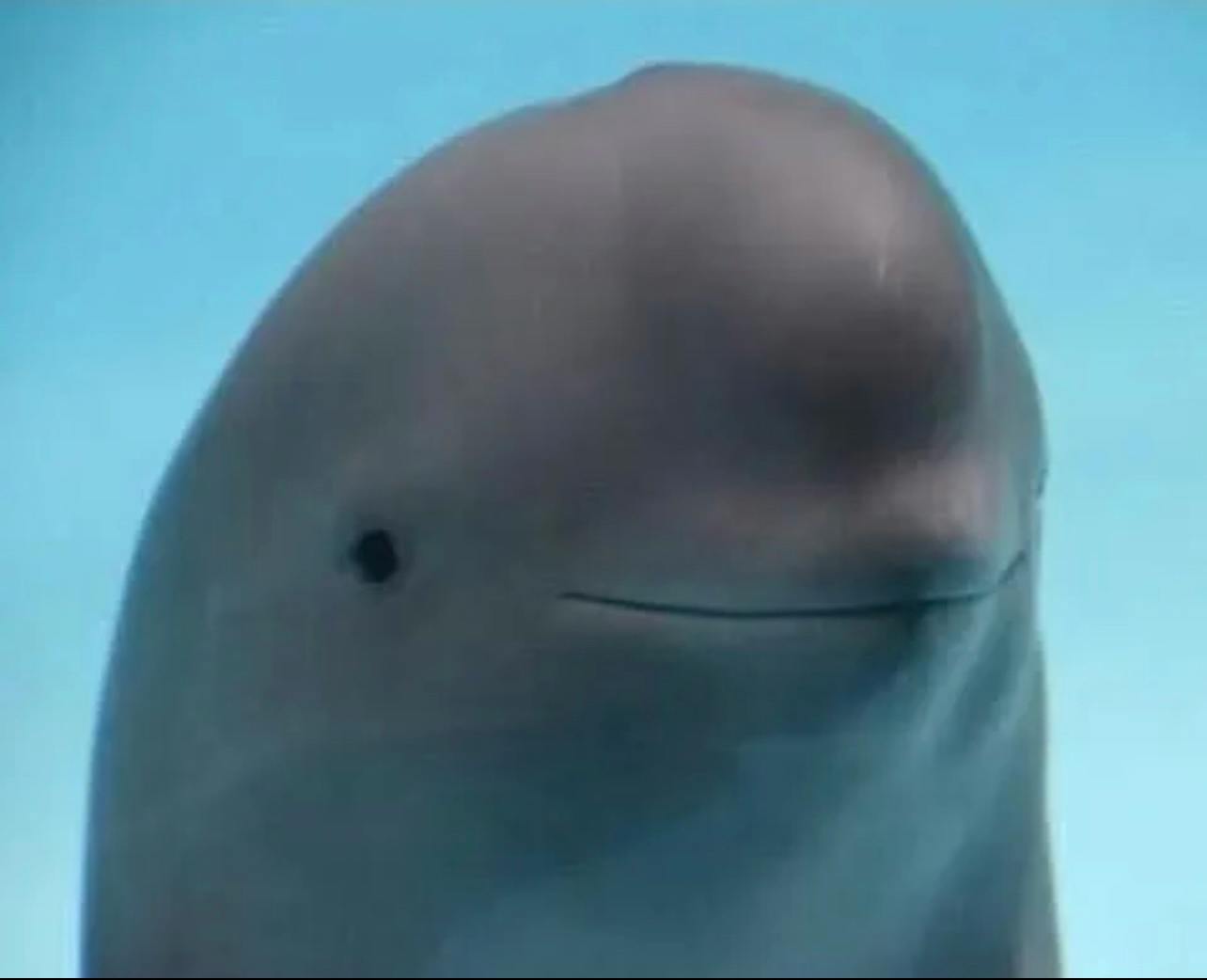 user avatar image for Conor