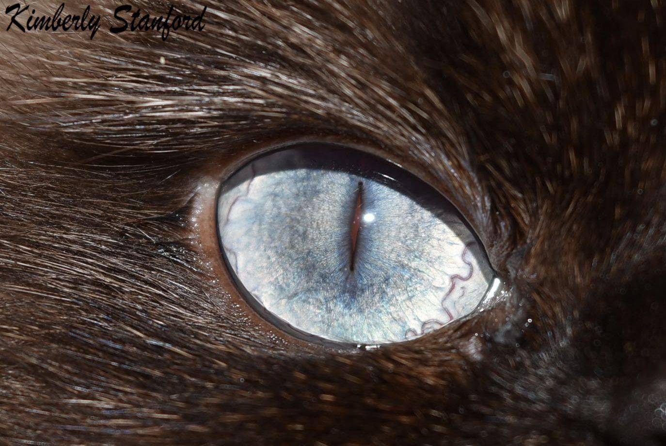 user avatar image for Bakudreamer