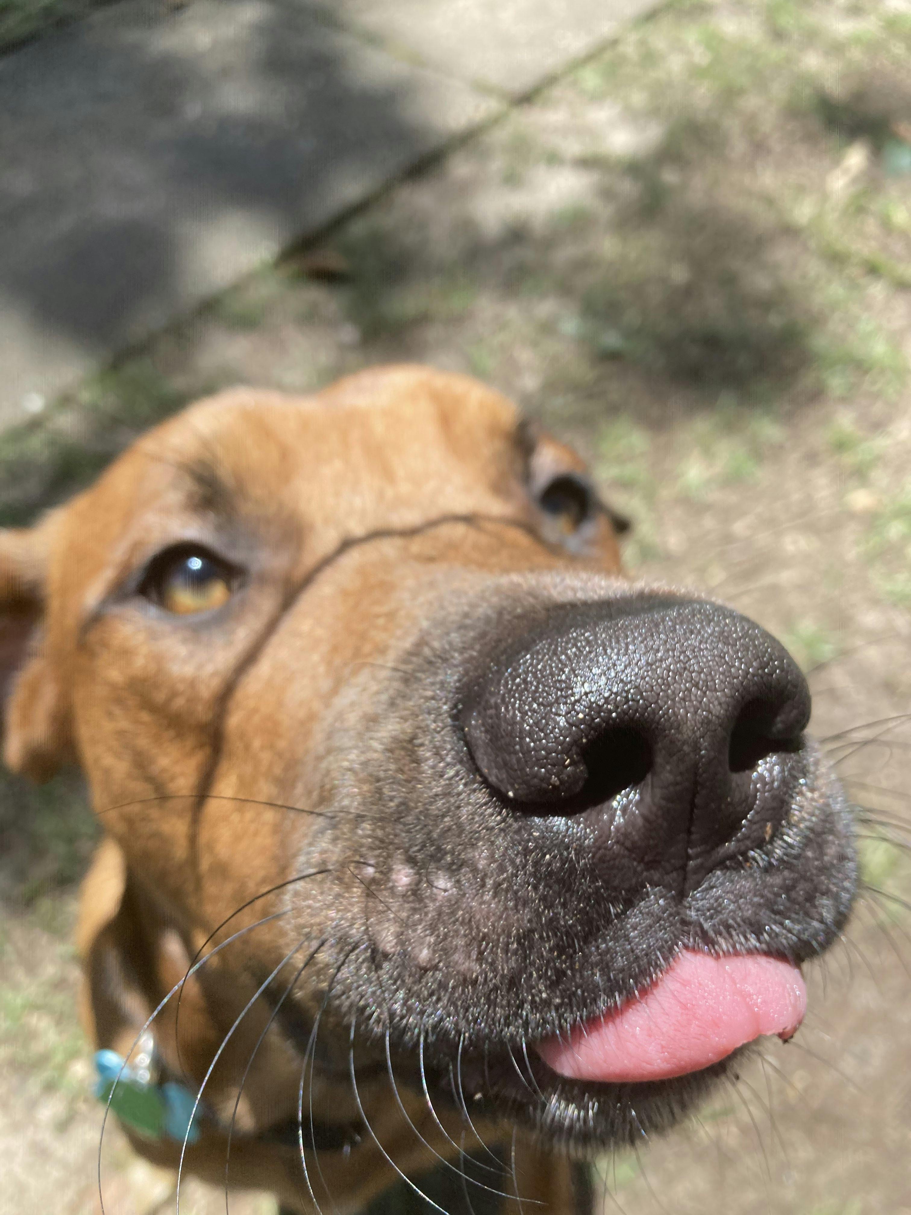 user avatar image for Jay