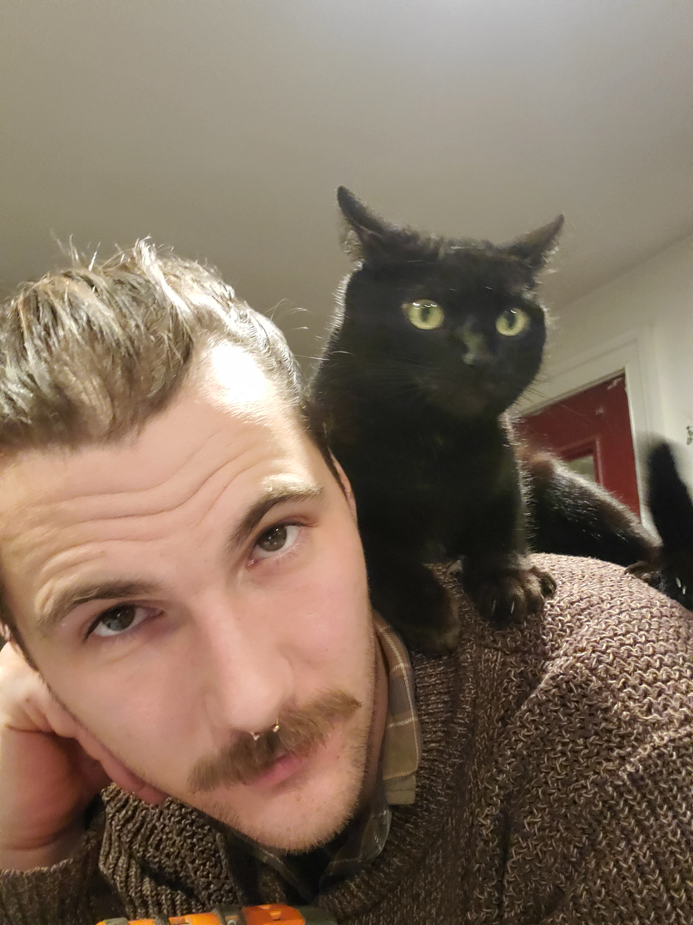 user avatar image for Roman