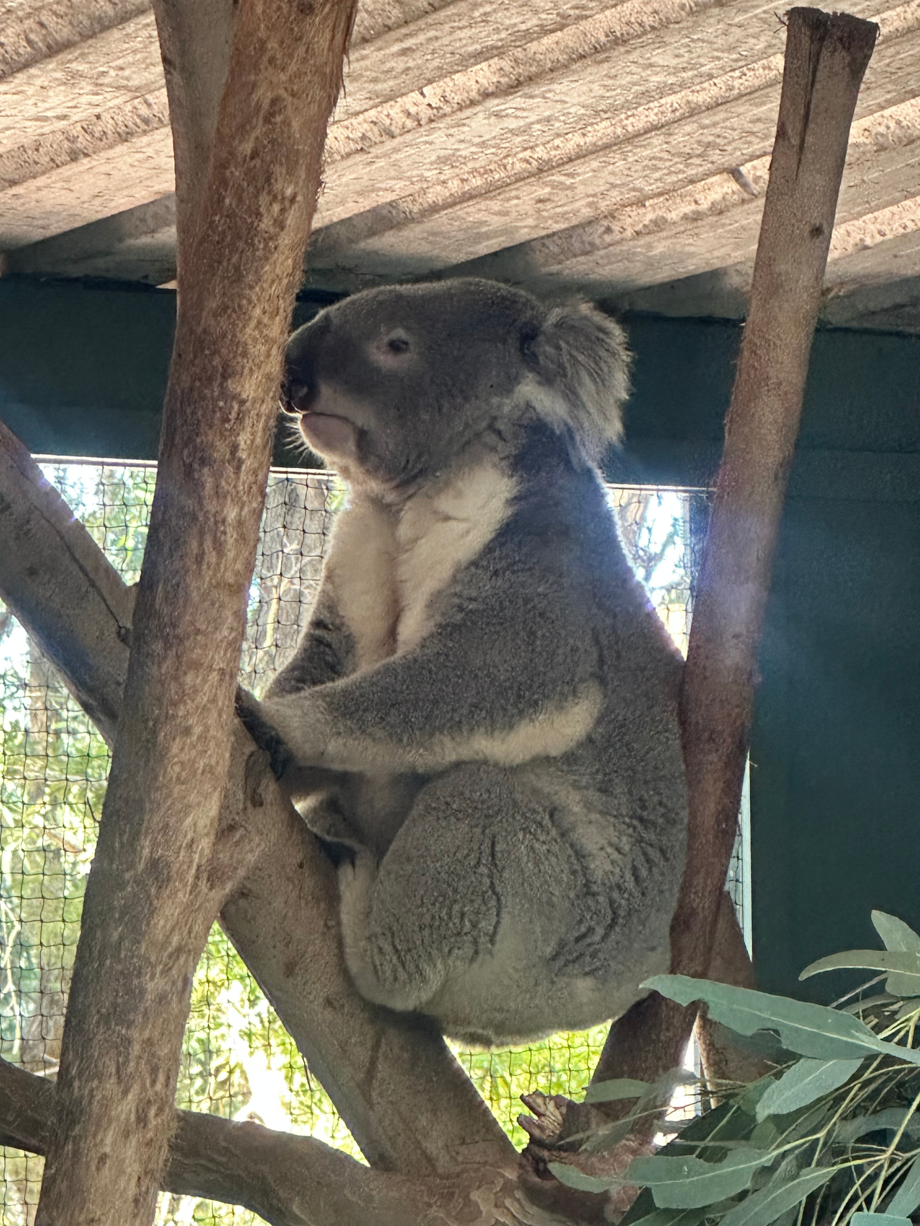 user avatar image for Chet Morrison