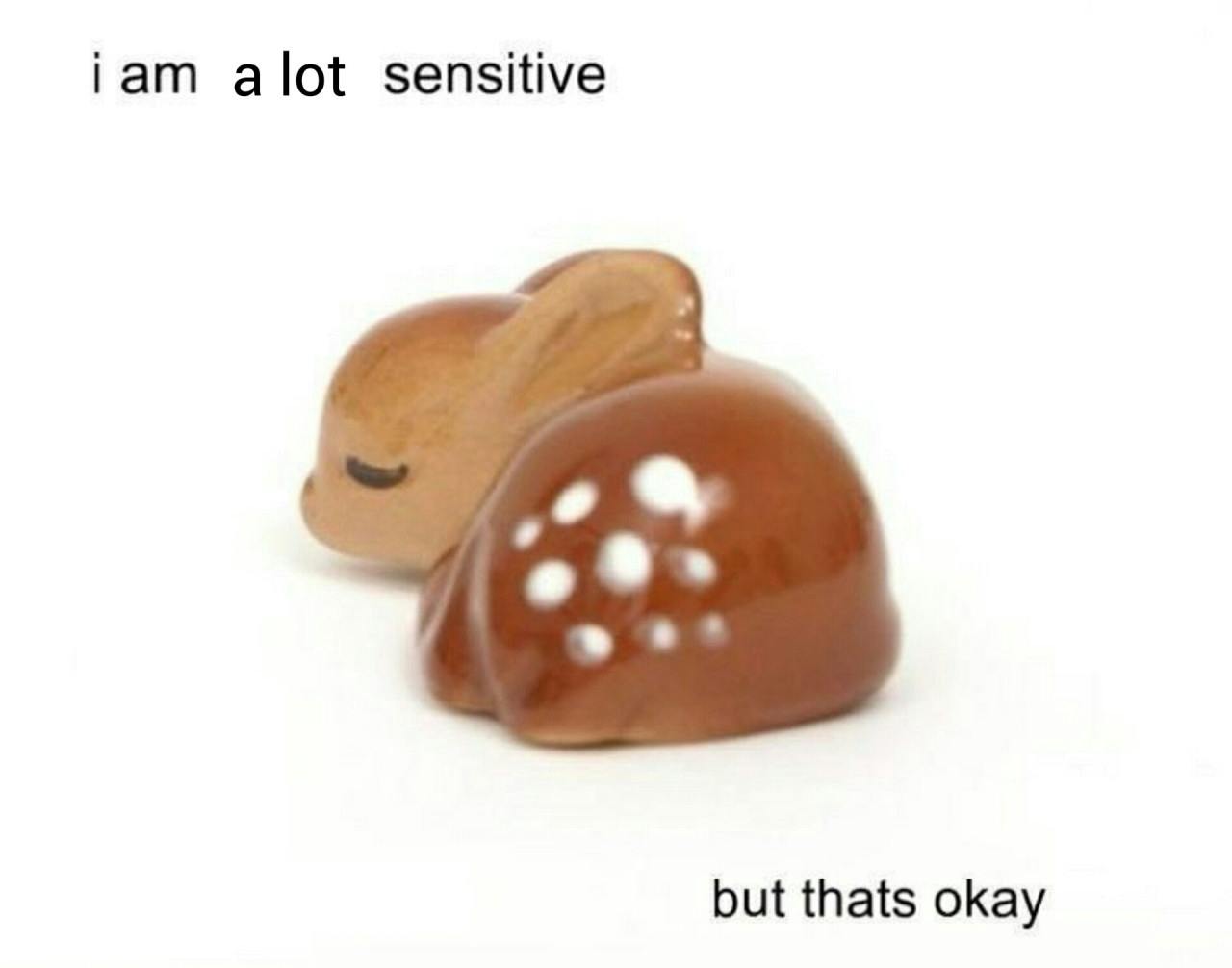 user avatar image for Bailey Singleton