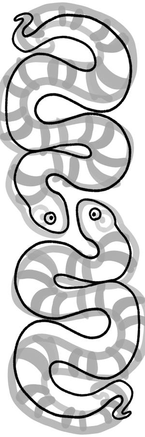 Coral Snake/Kingsnake (Micrurus fulvius/Lampropeltis elapsoides)