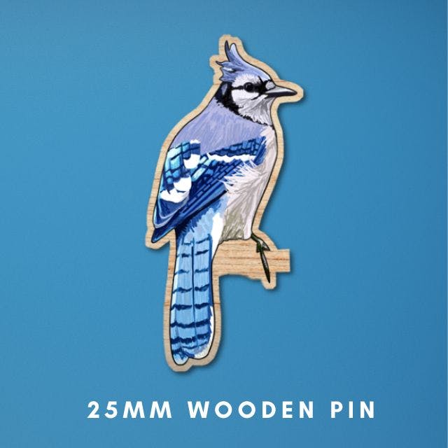 a mock up of a 25mm wooden pin made from an illustration of a Blue Jay by Loadofolbobbins