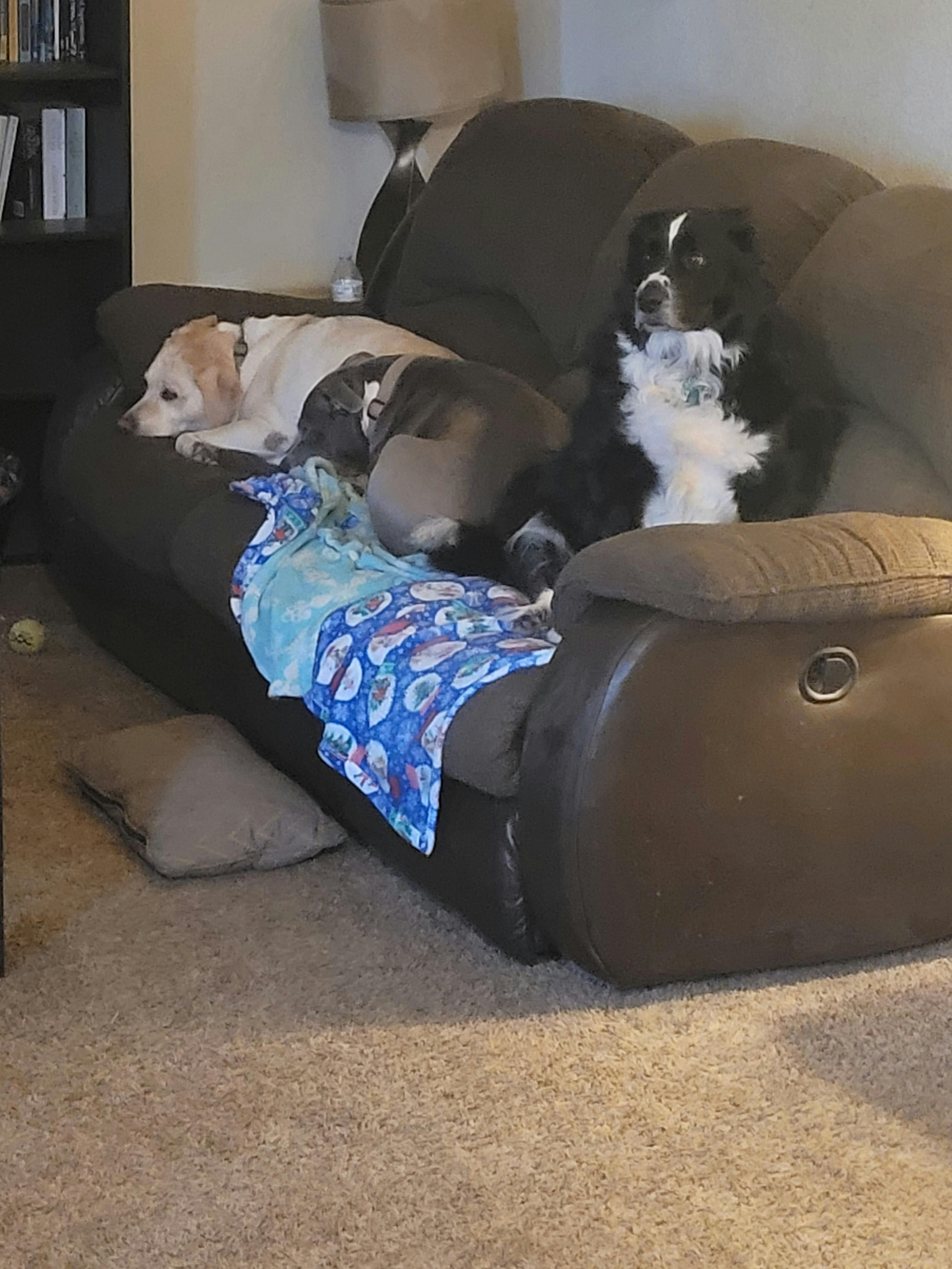 user avatar image for Cindy