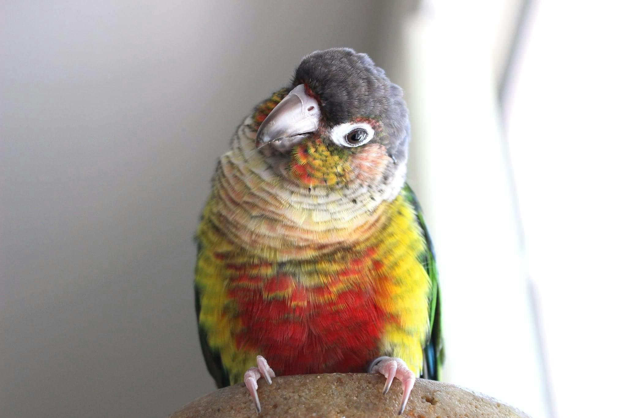 user avatar image for Sarah