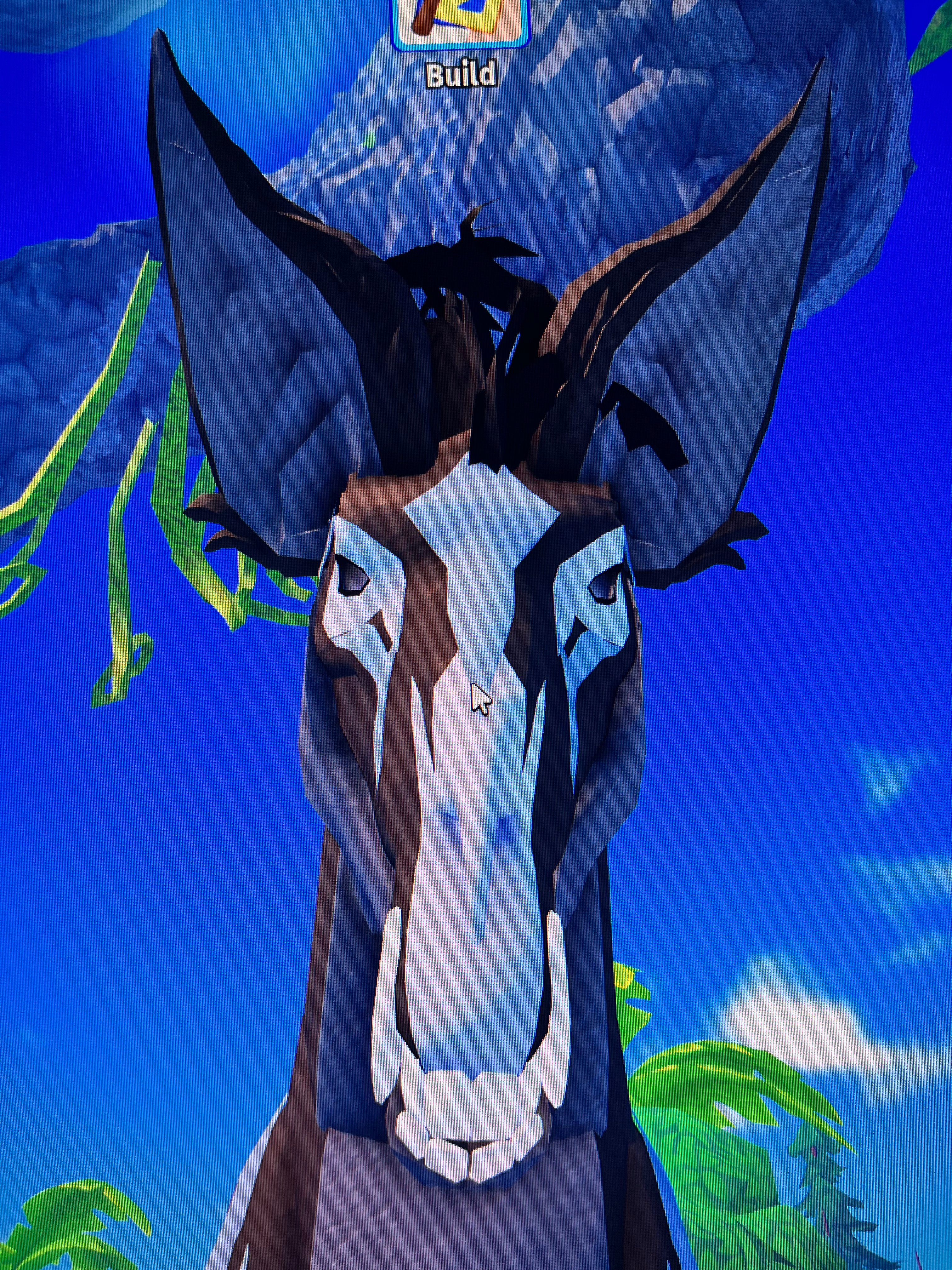 user avatar image for Fox