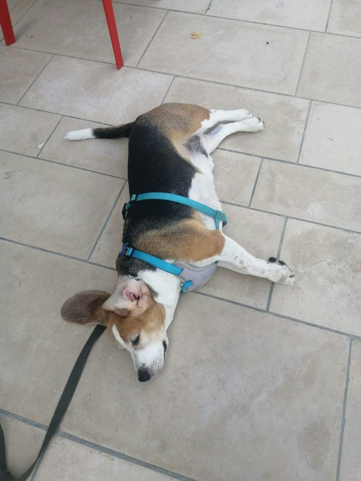 user avatar image for Andyr