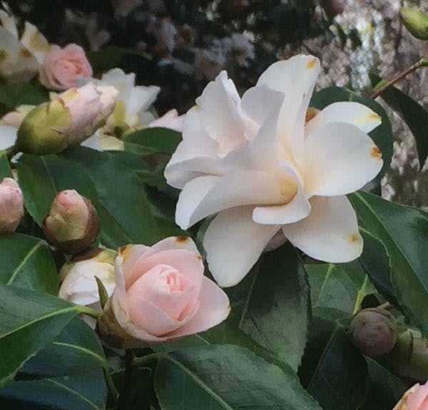 user avatar image for Xam <3