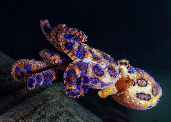 user avatar image for WhoaNo