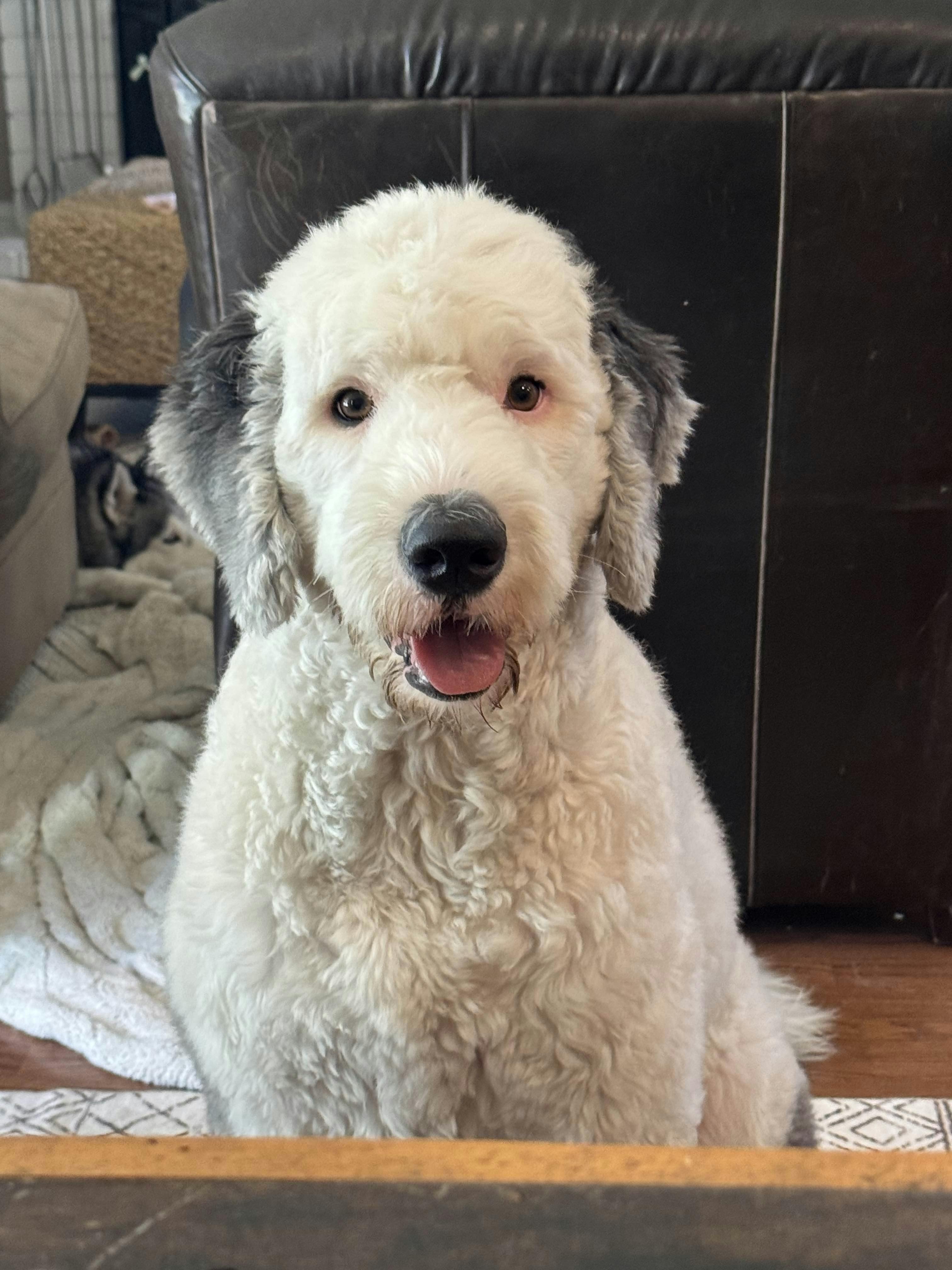 user avatar image for Cory Garcia