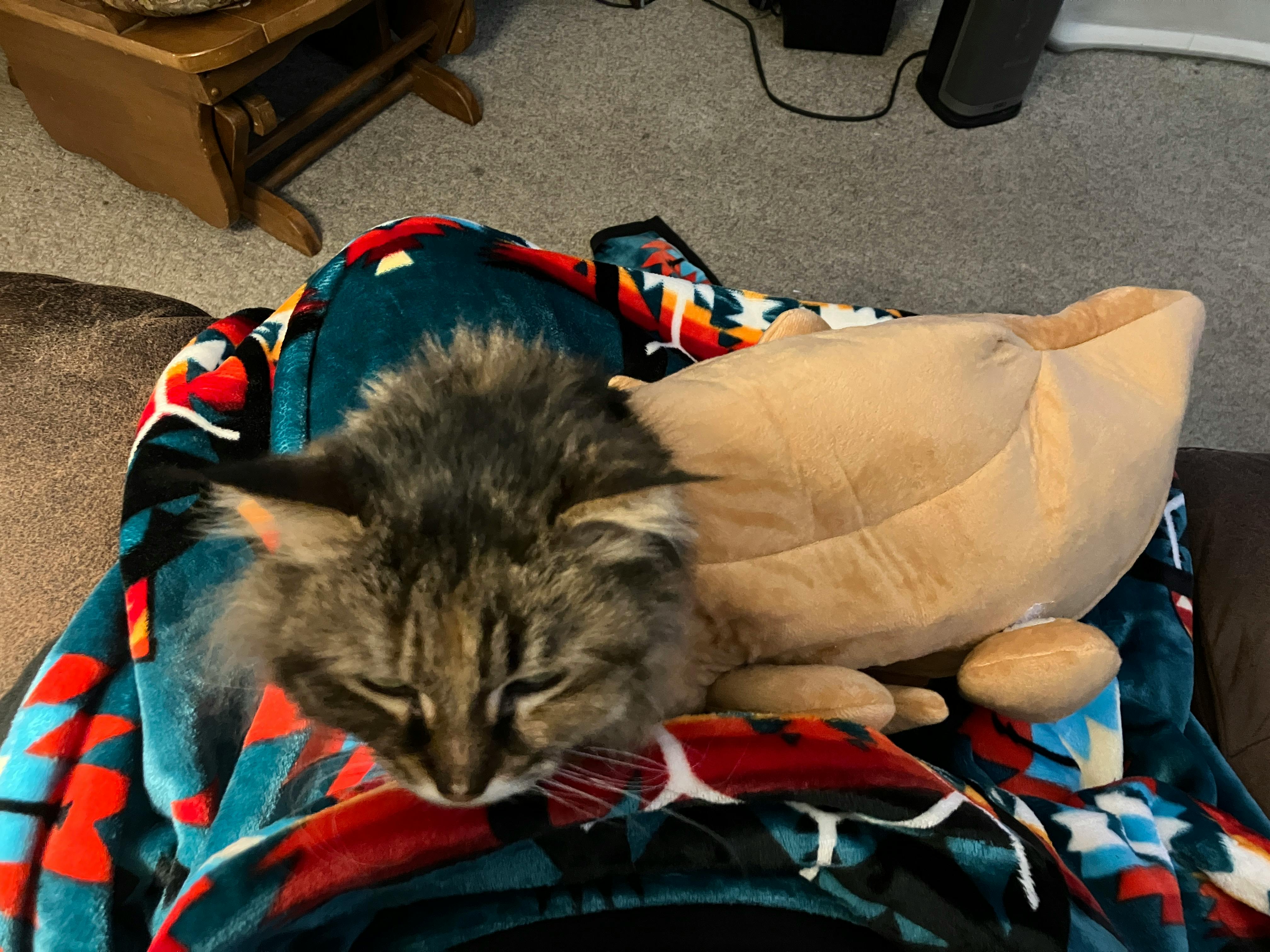 user avatar image for Alexandra