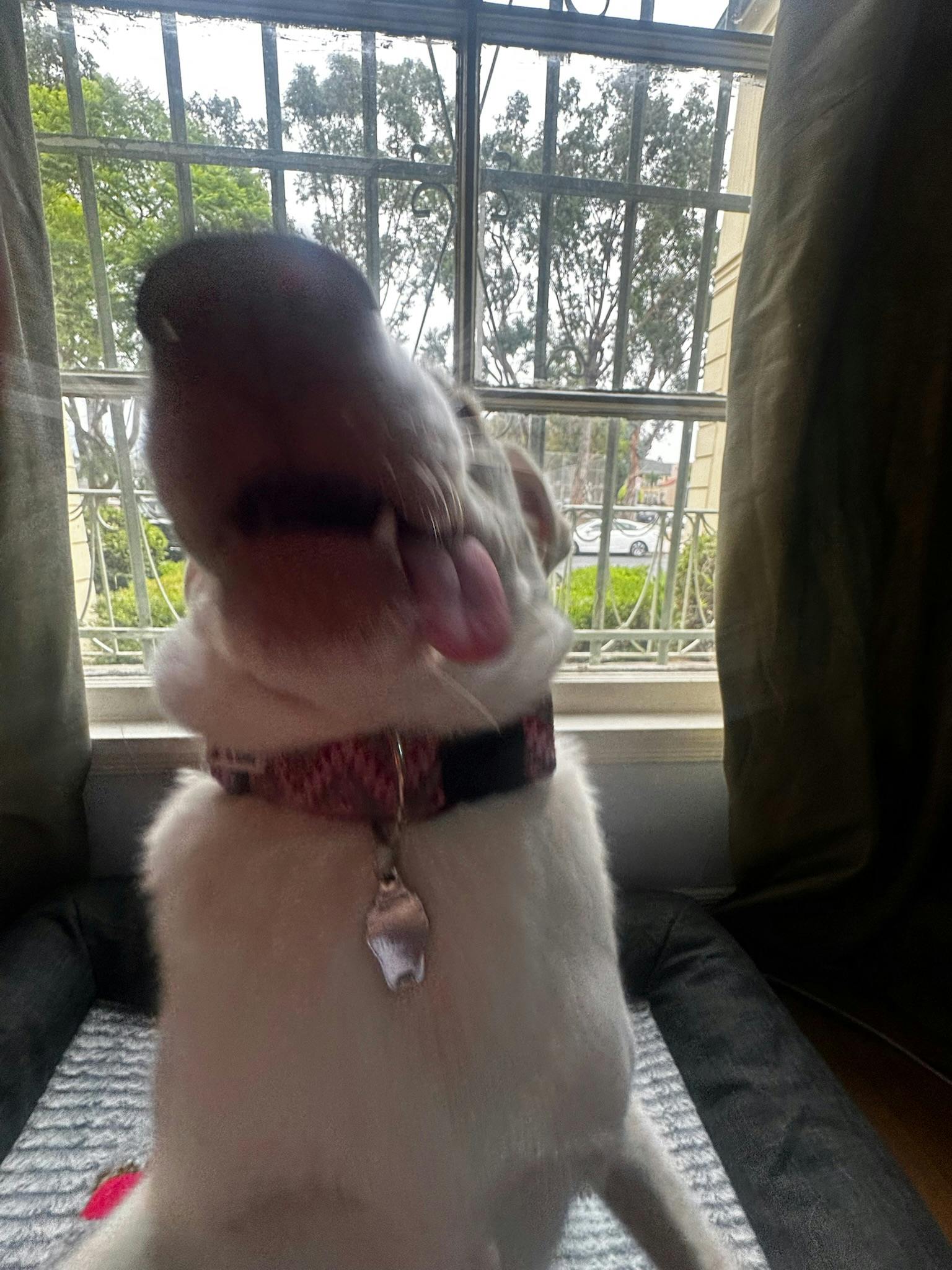 user avatar image for Benjy