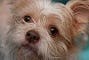 user avatar image for Zaneta Caravello