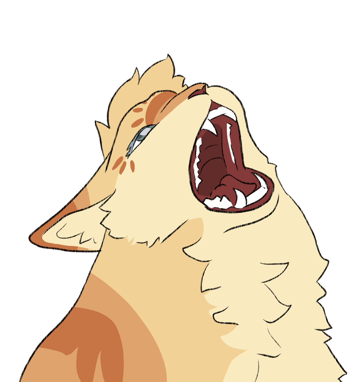 user avatar image for pinion