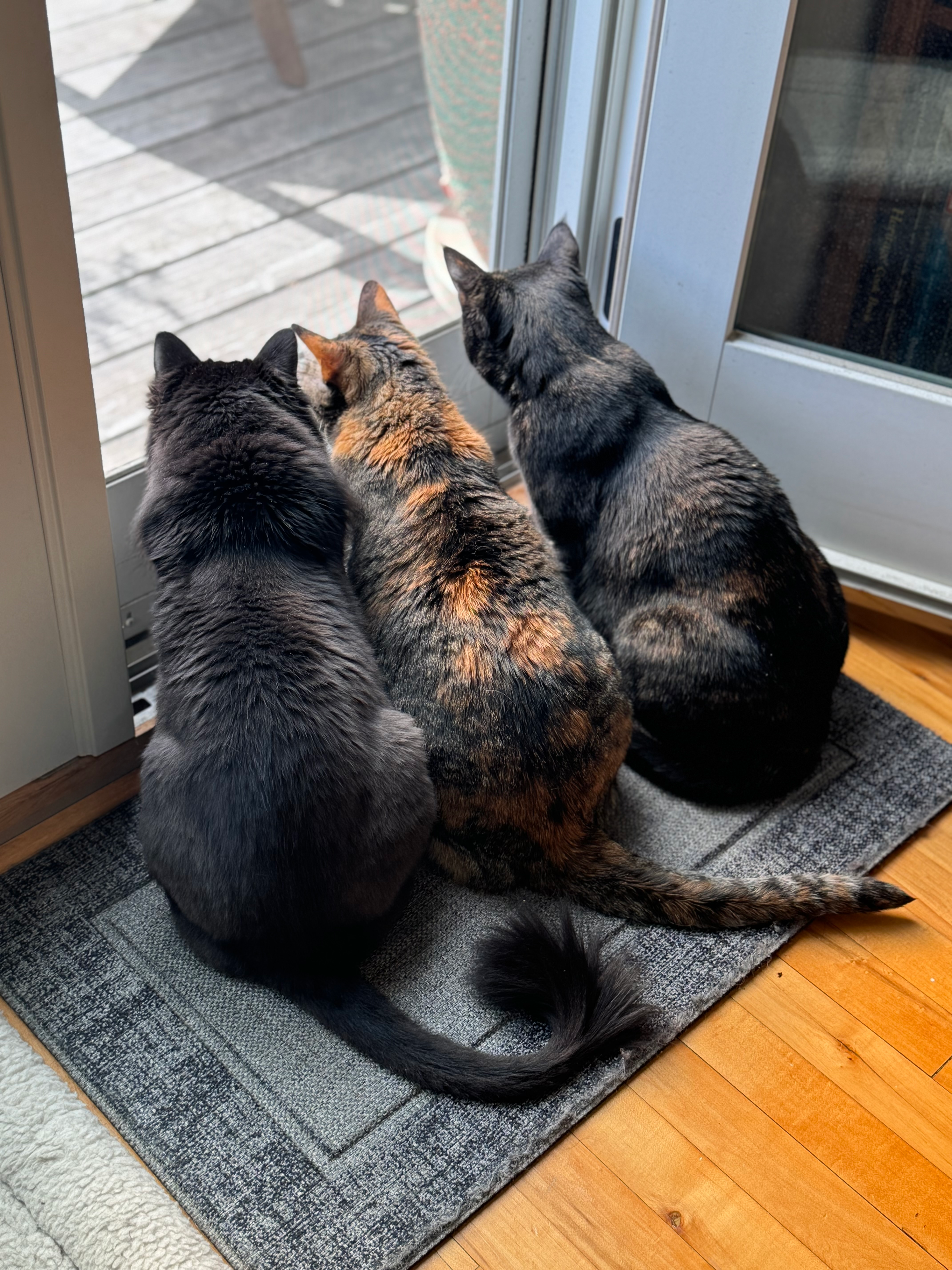 user avatar image for Gaylin