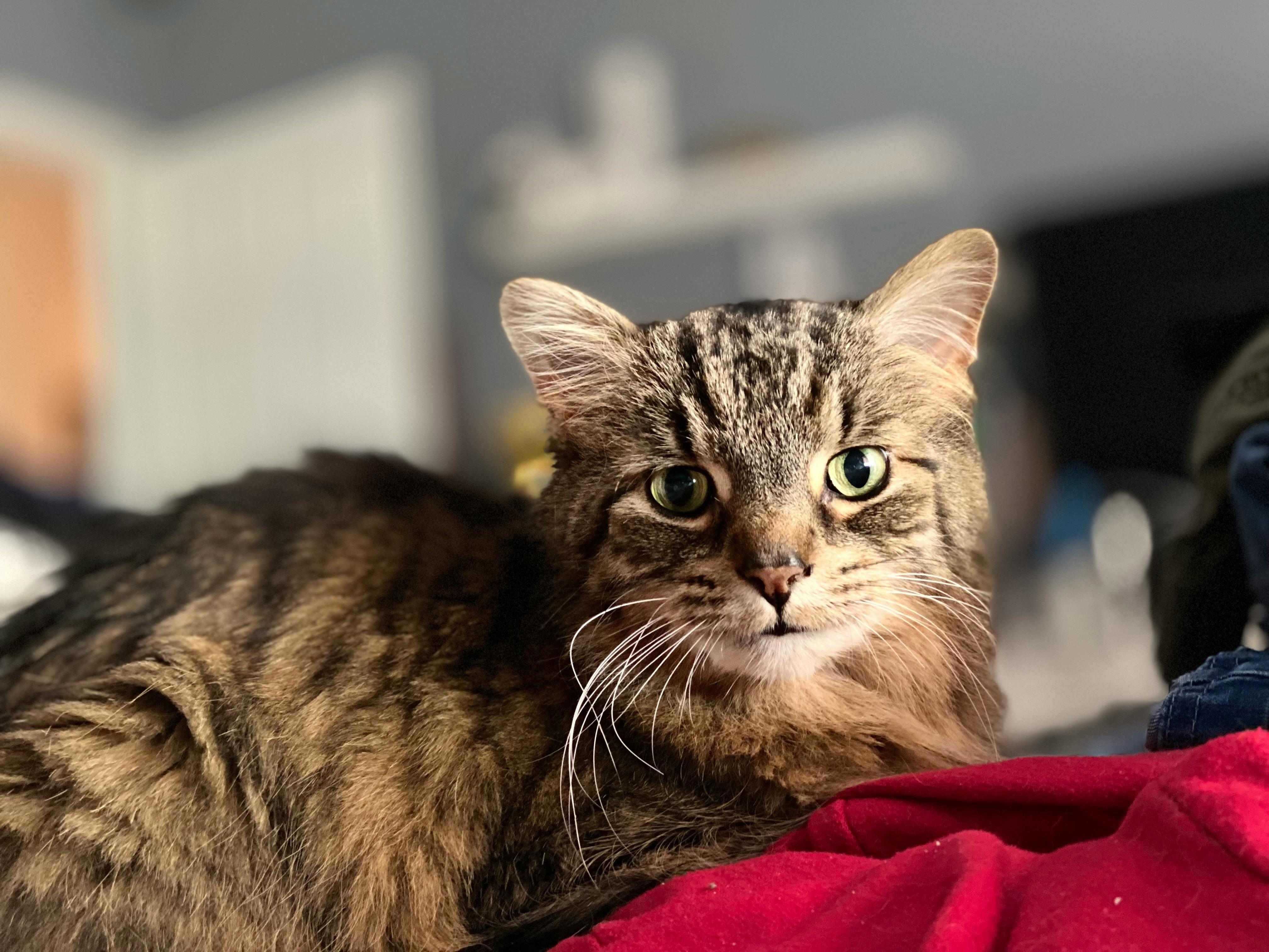 user avatar image for Trexw123