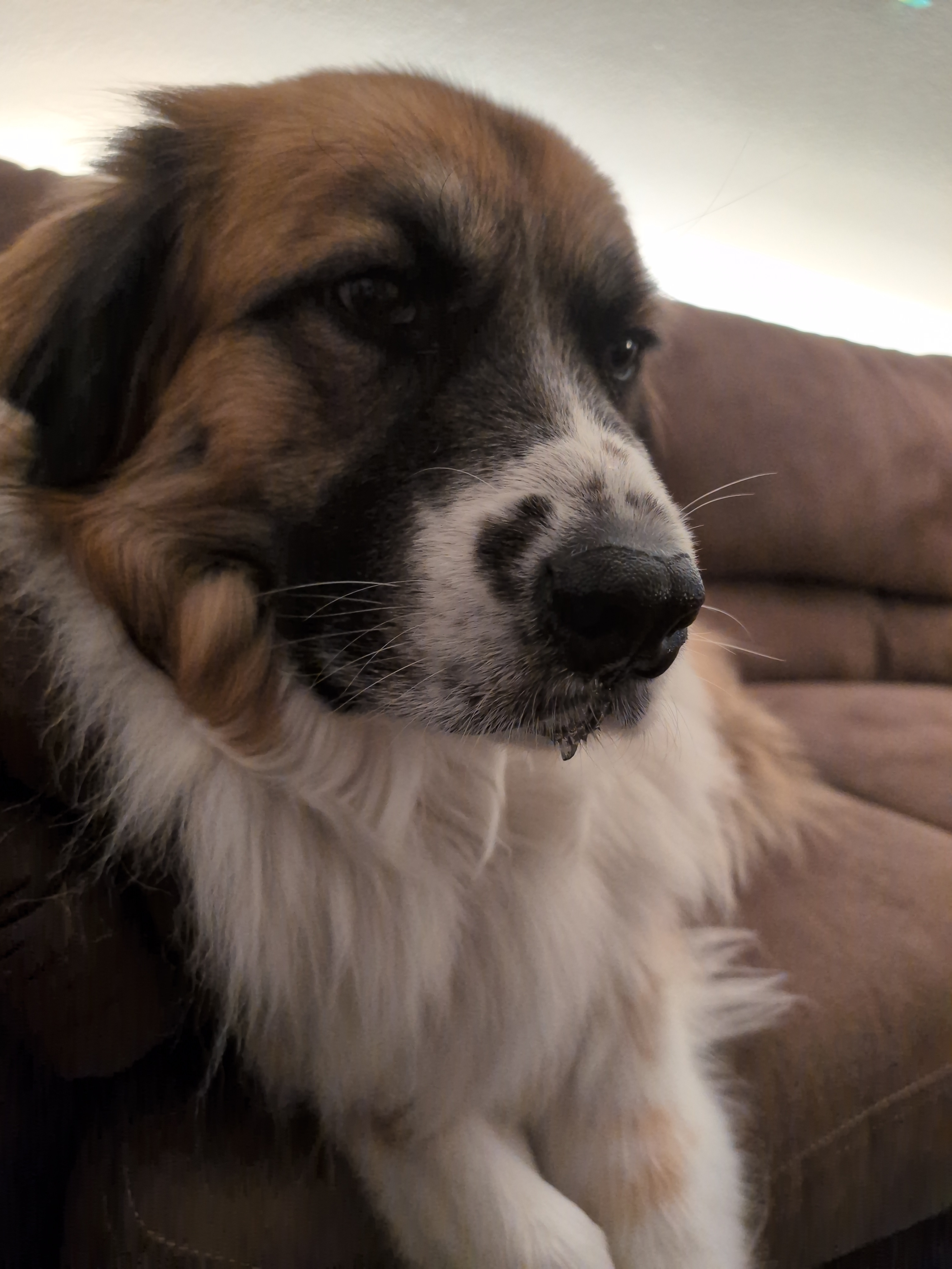 user avatar image for Perry Schaefer