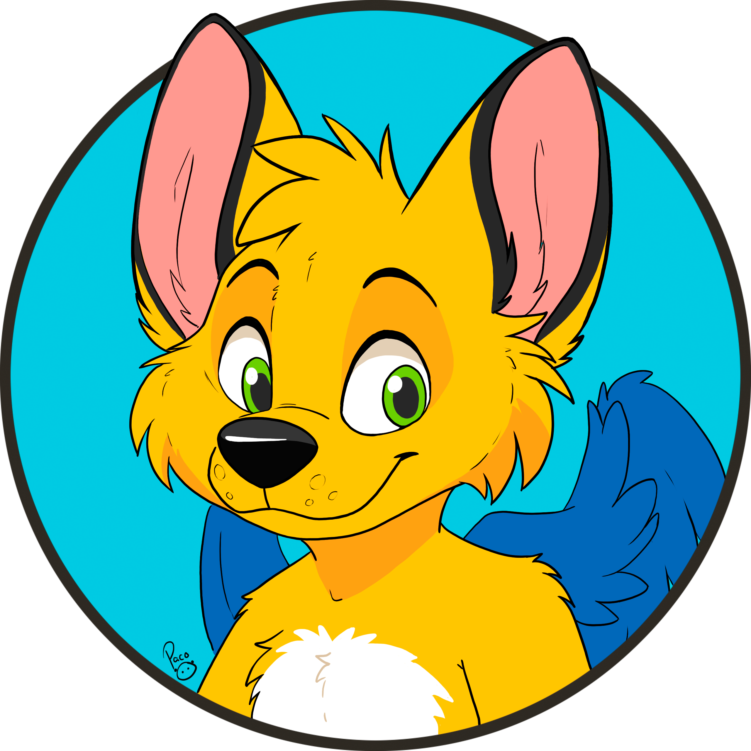user avatar image for Kit