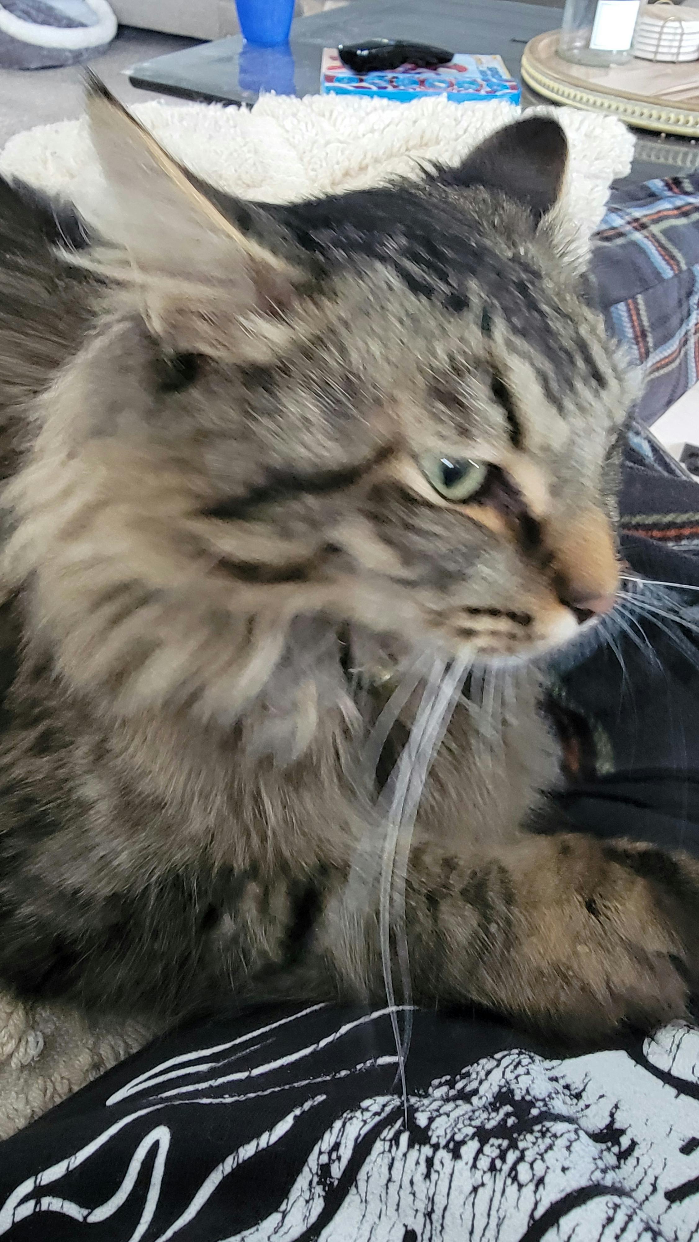 user avatar image for eNeRGy