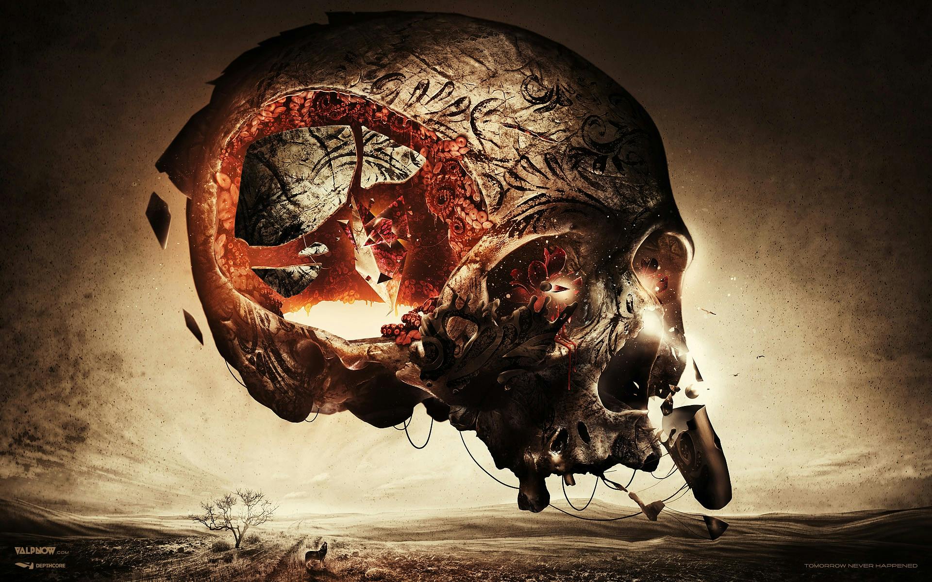 user avatar image for Max