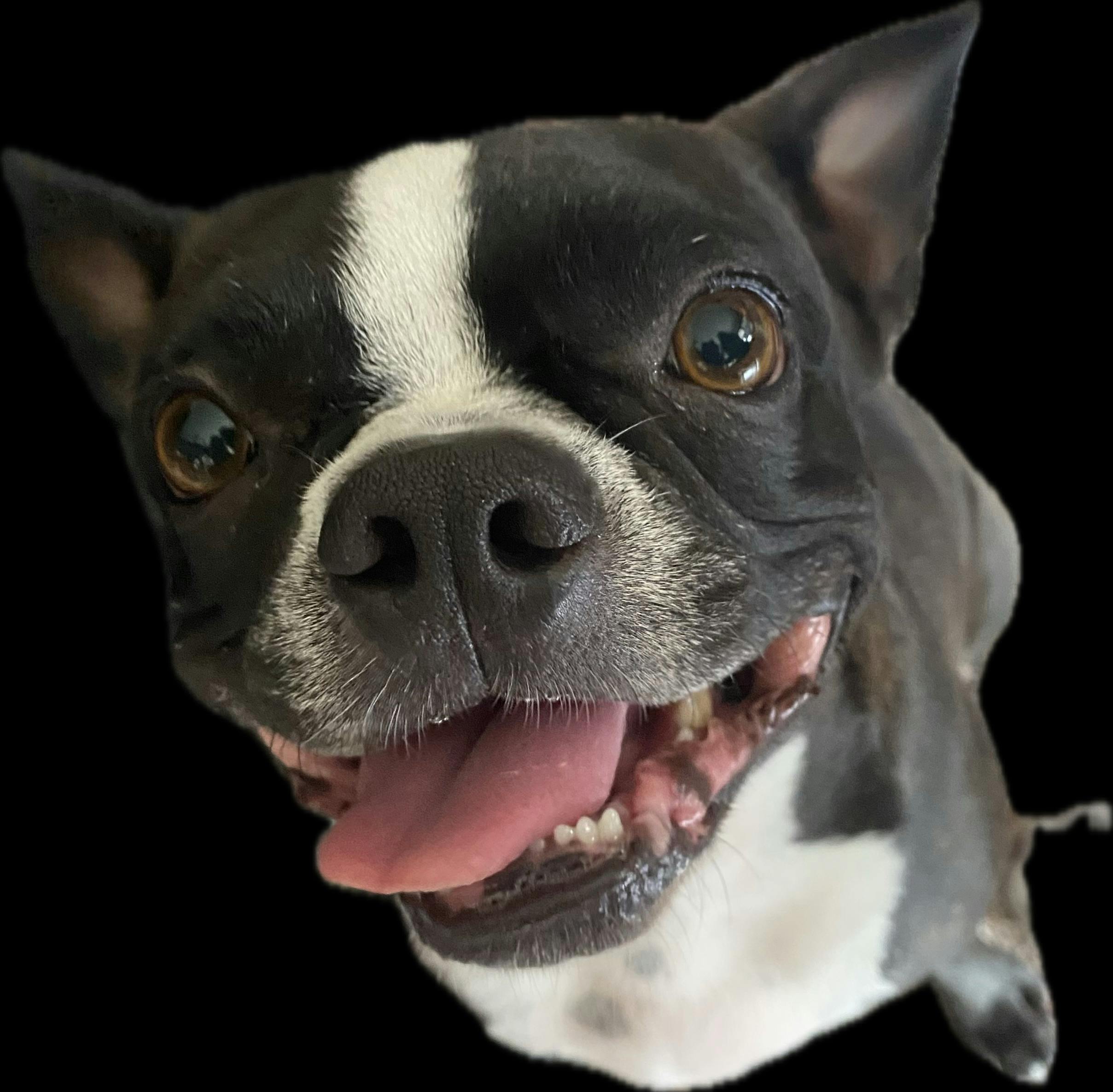 user avatar image for Hanna Demyk