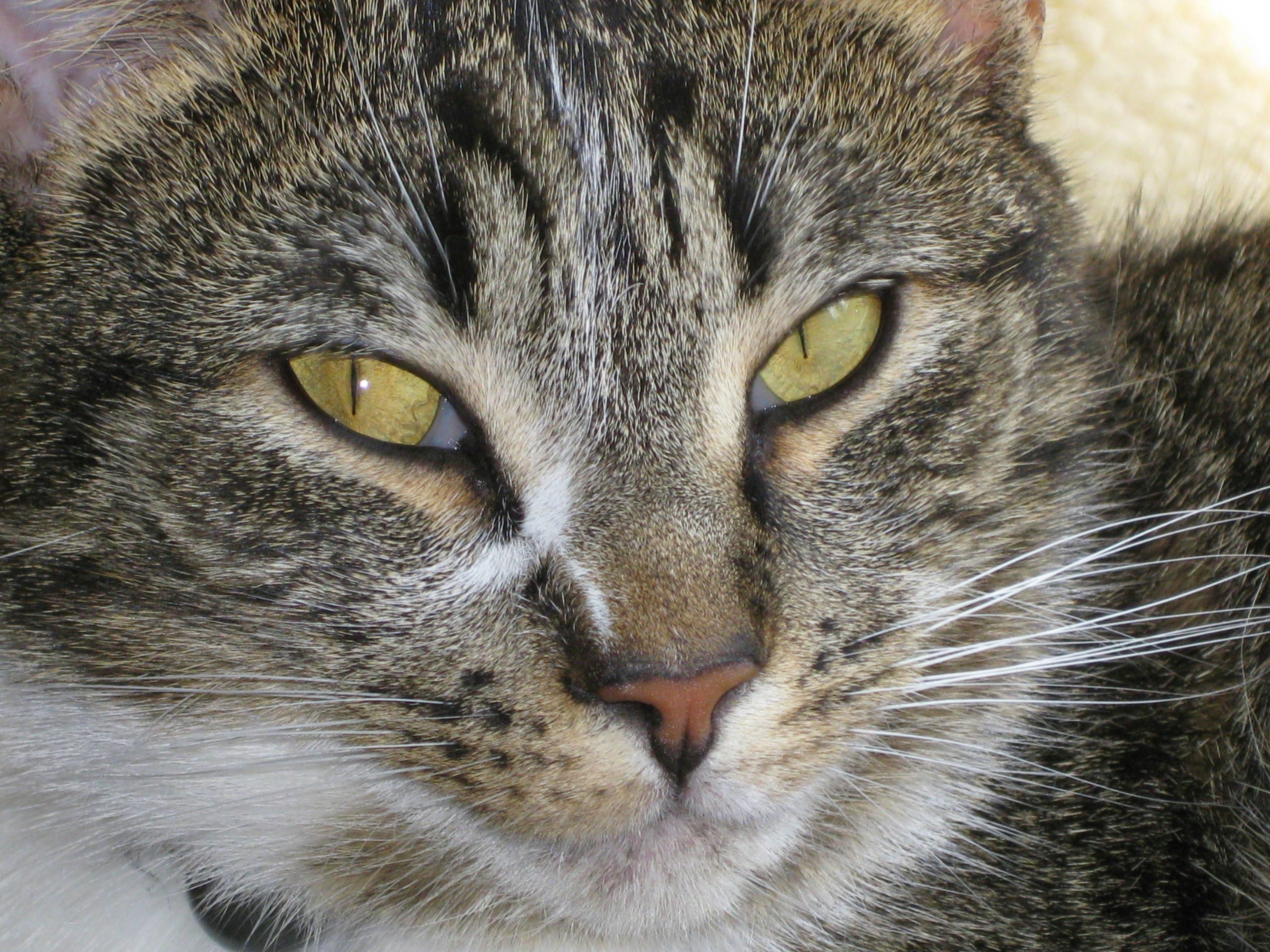 user avatar image for Ken