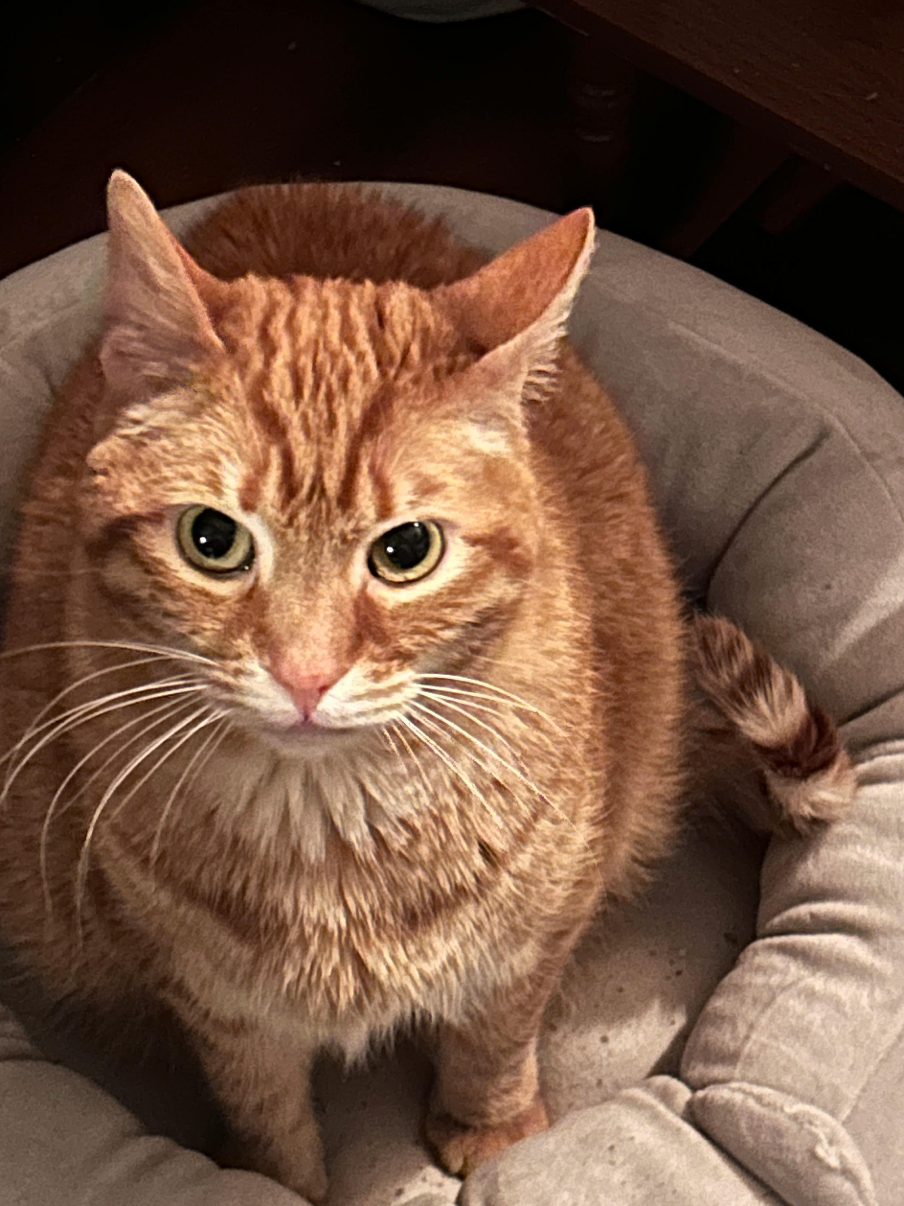 user avatar image for Jami