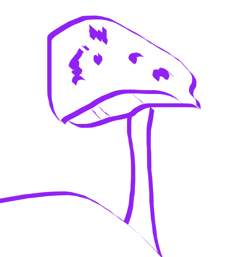 user avatar image for E.H.