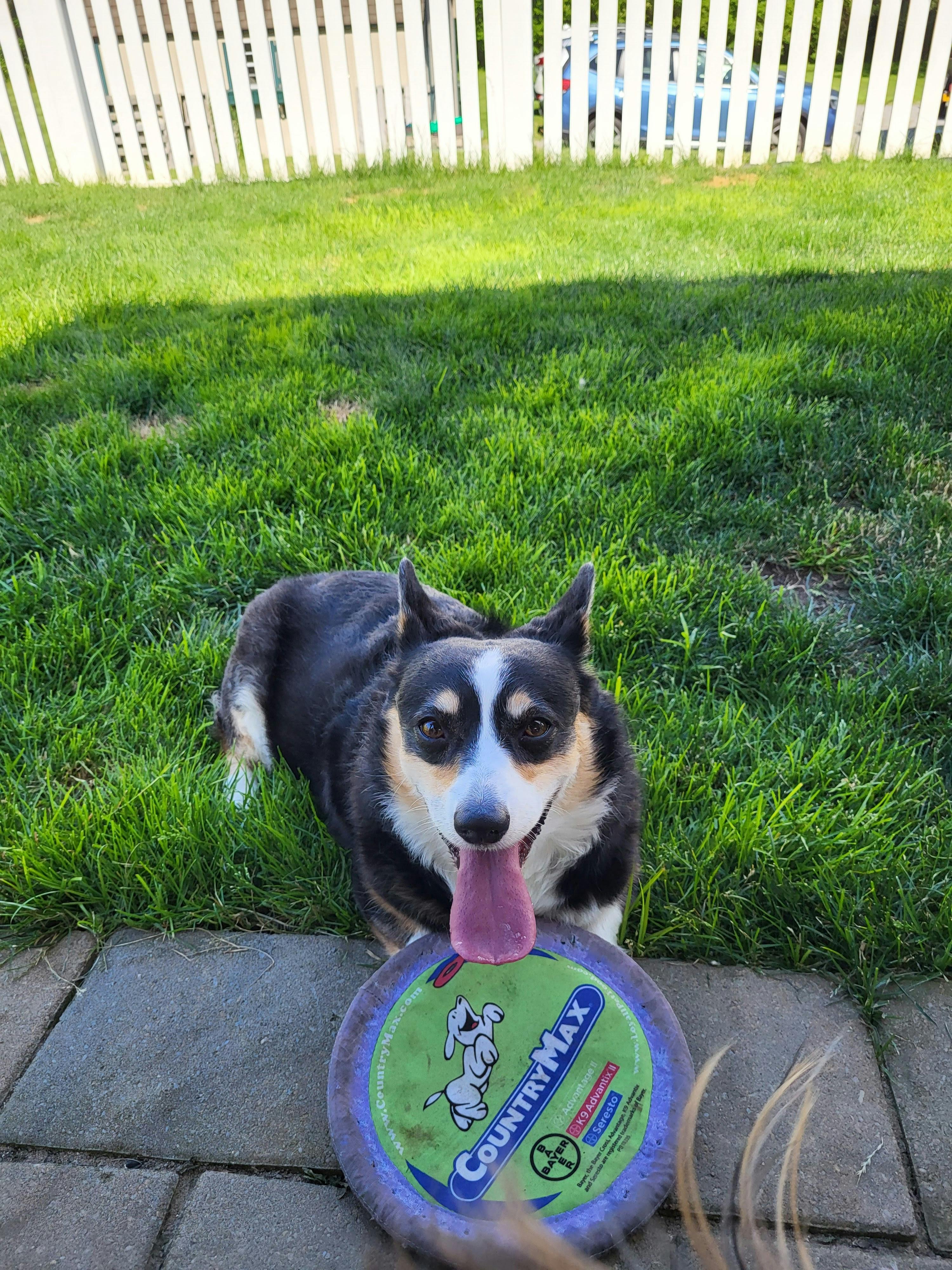 user avatar image for LiteraryMirage