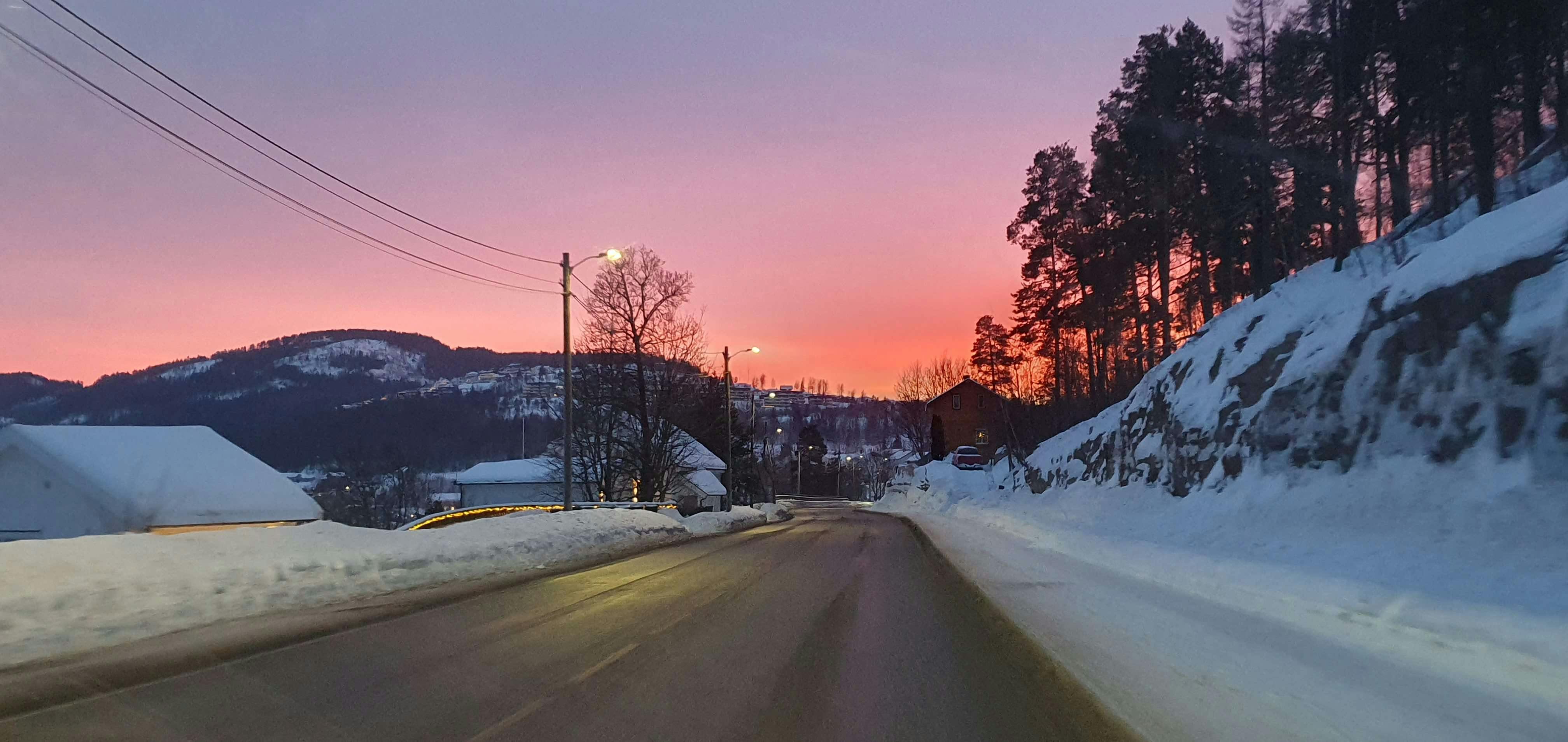 user avatar image for Ro’sa Fasolino