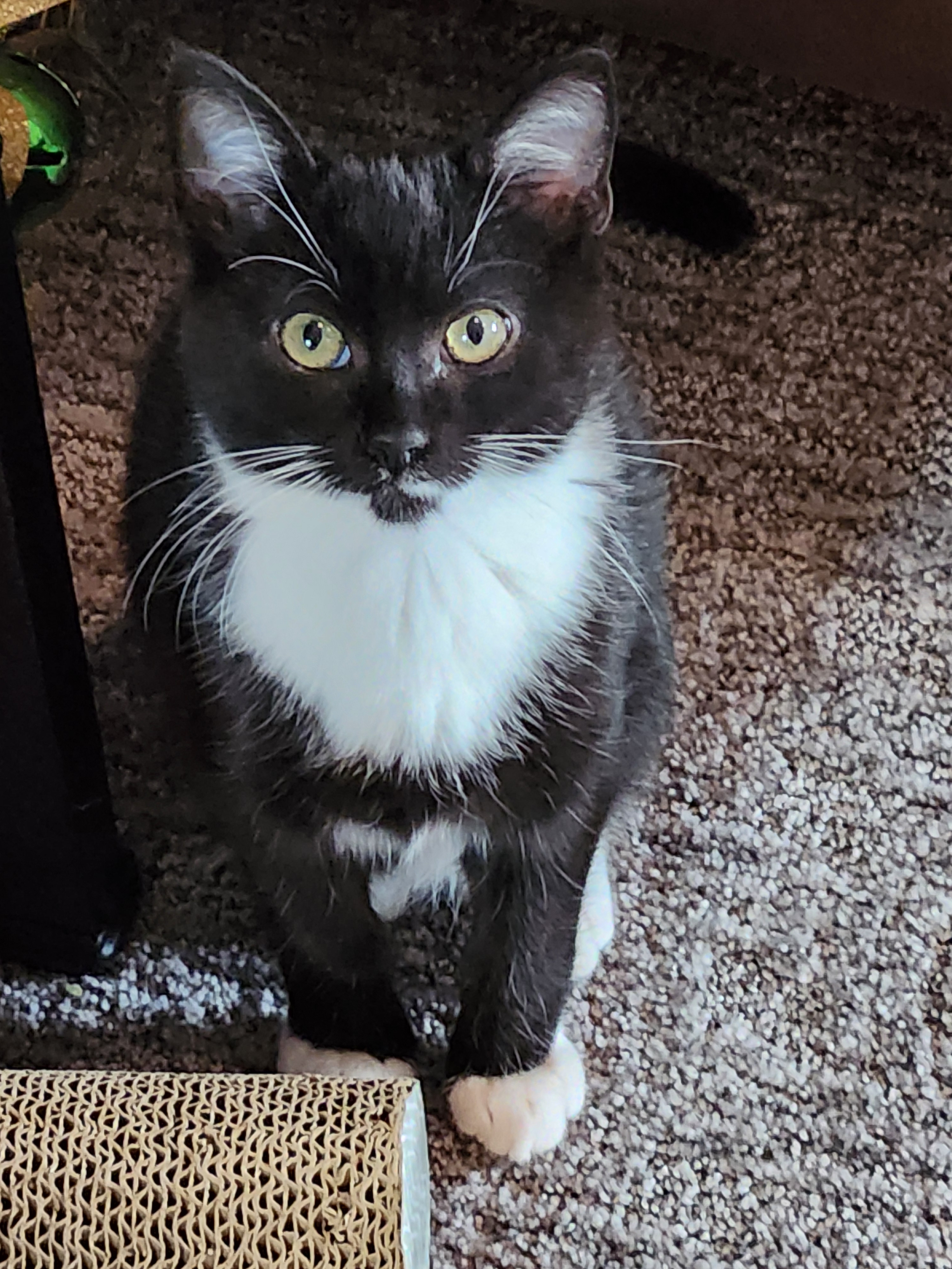 user avatar image for Andrew Burt