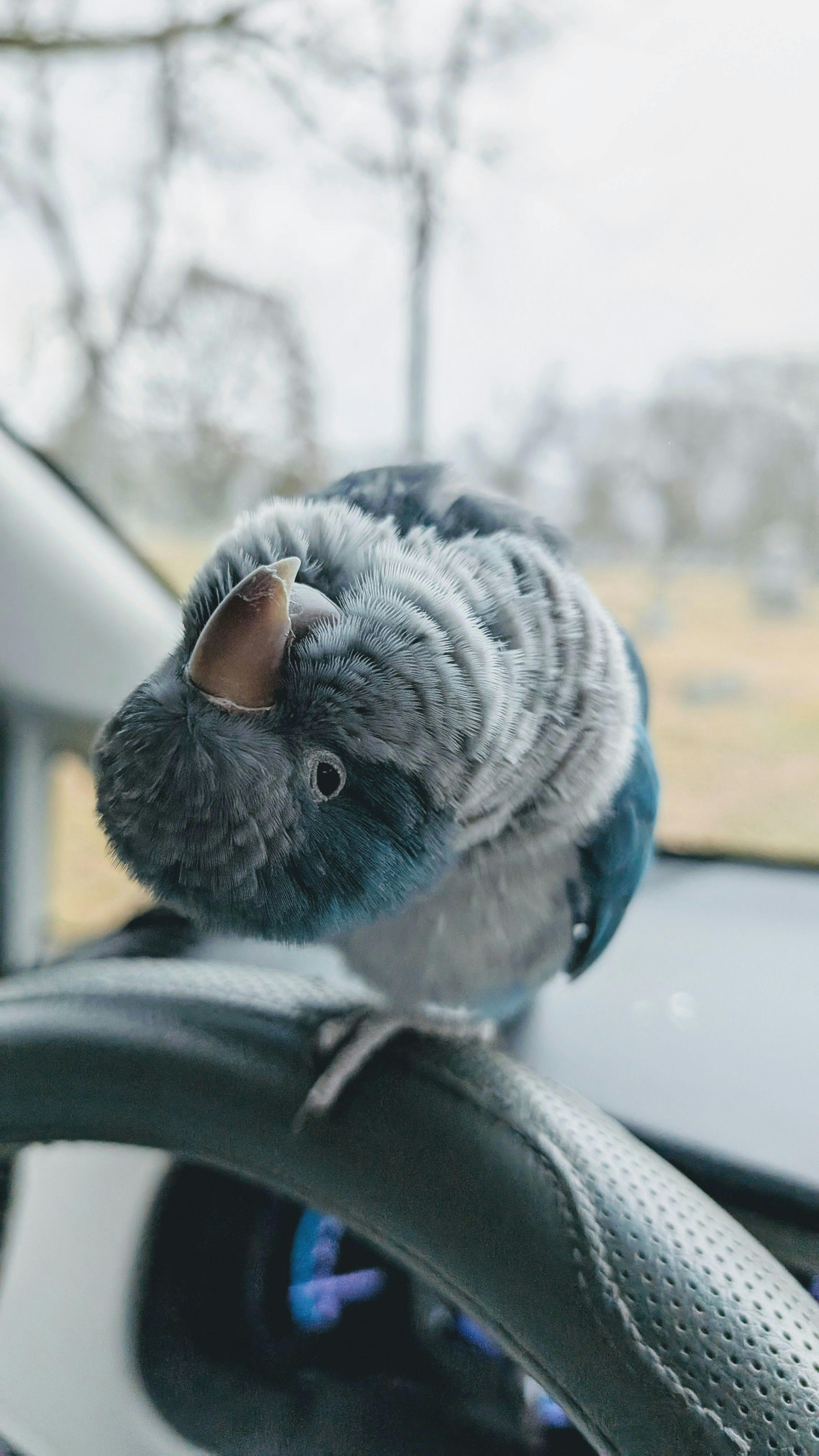 user avatar image for SewMarci