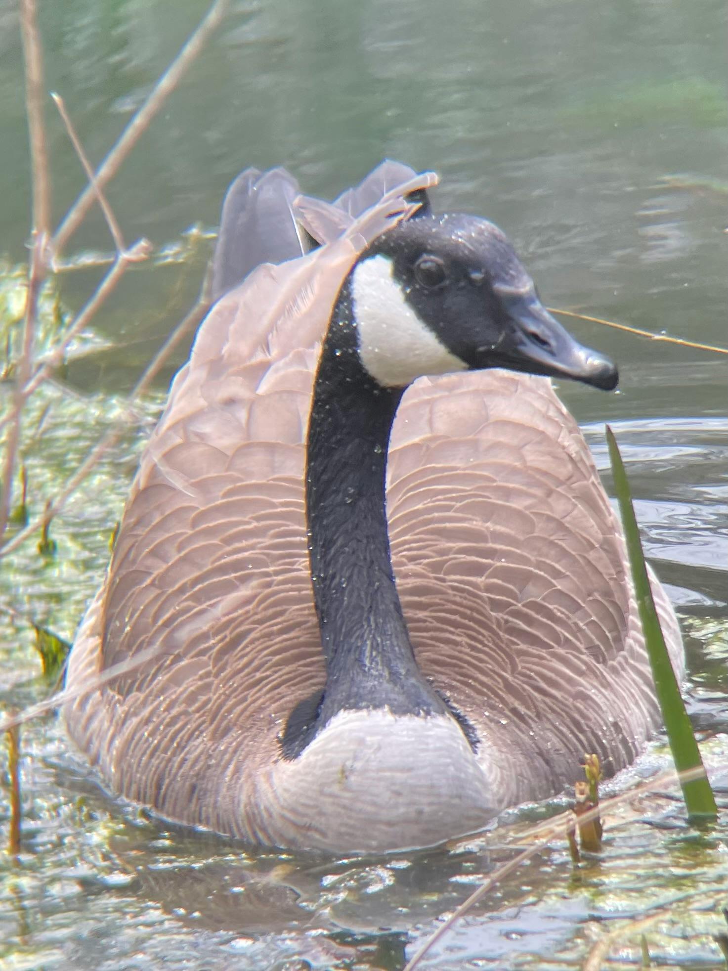 user avatar image for River