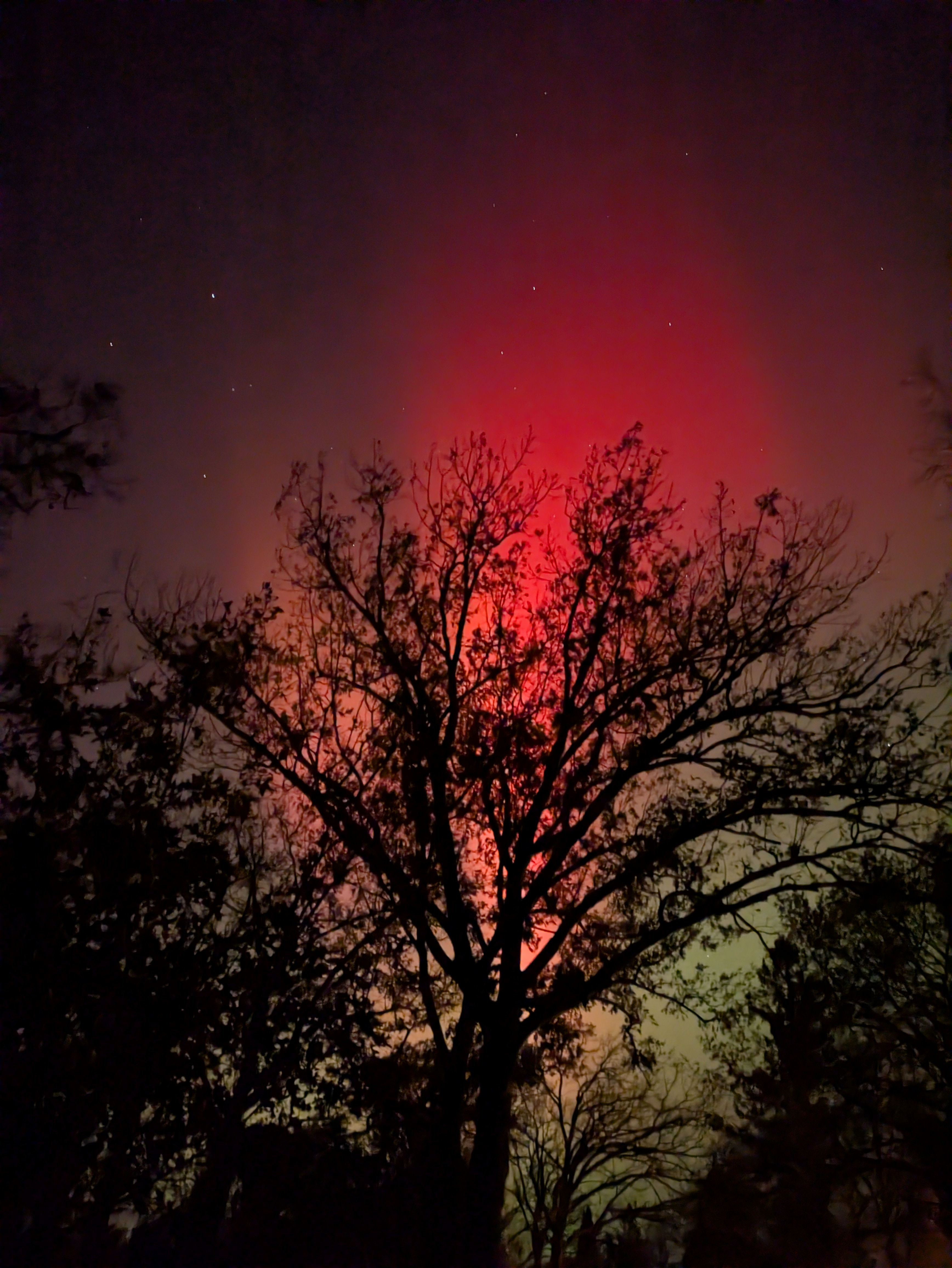 user avatar image for FredricksonPikeslayer