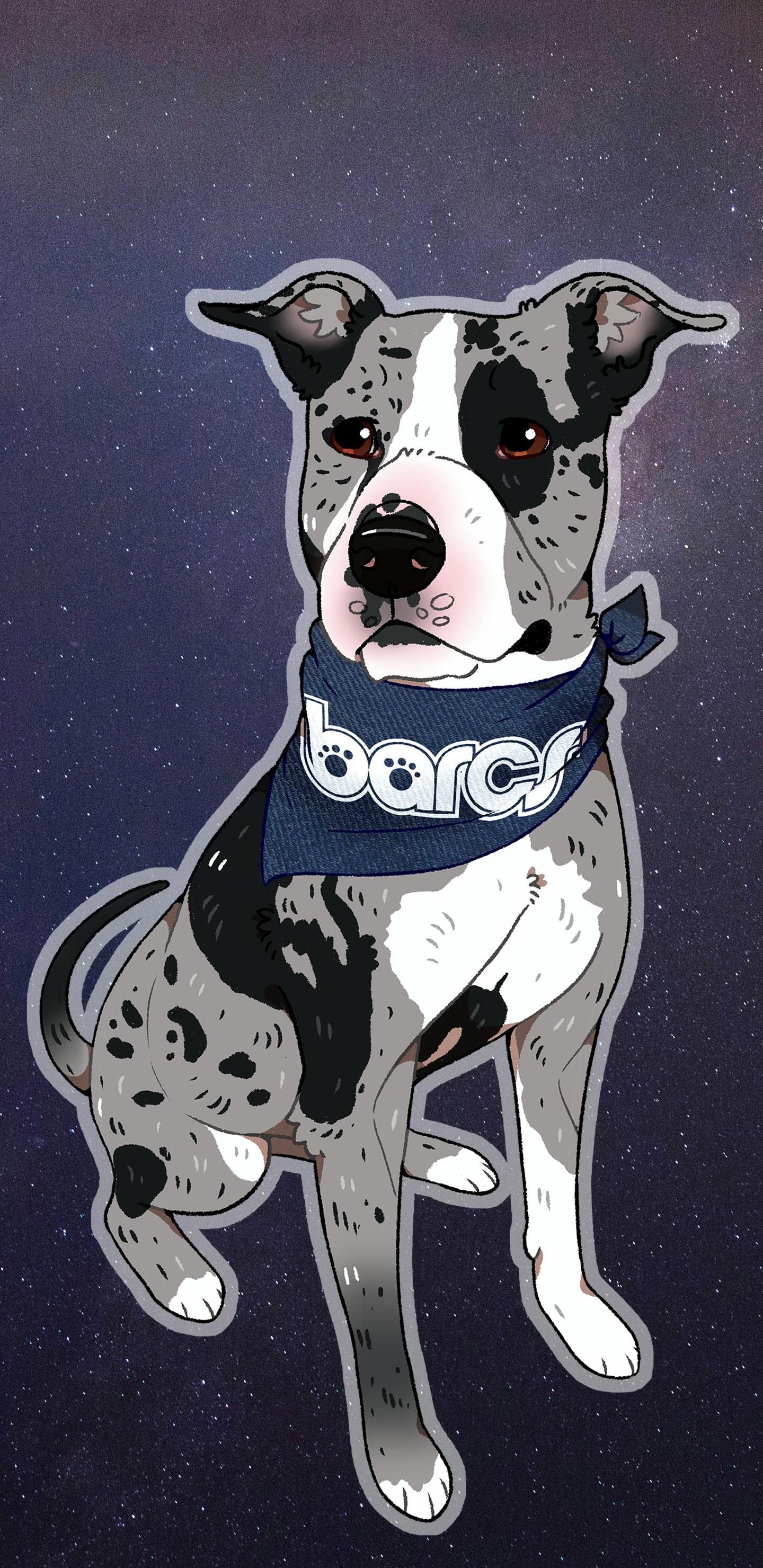 user avatar image for AMeares