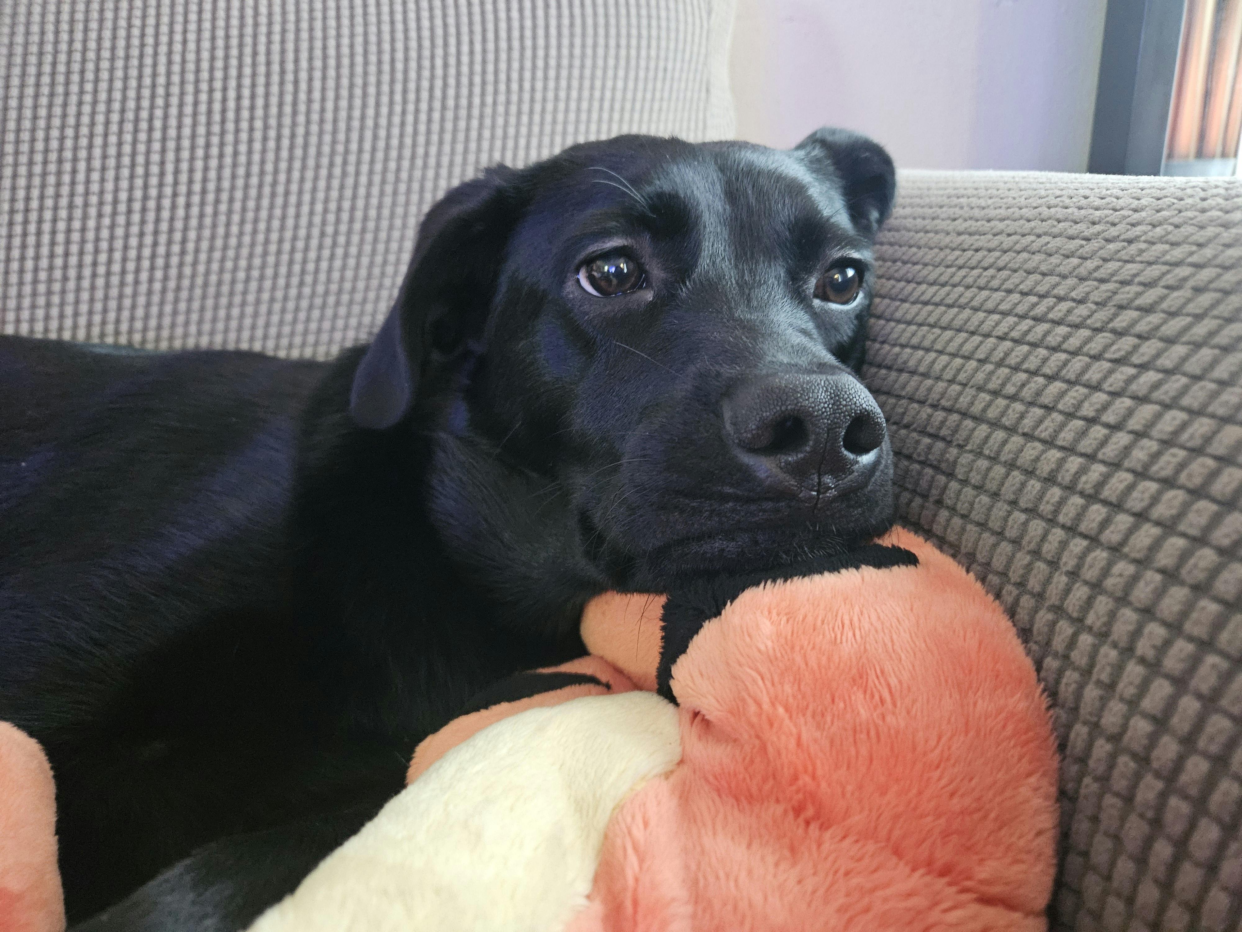 user avatar image for William Glass