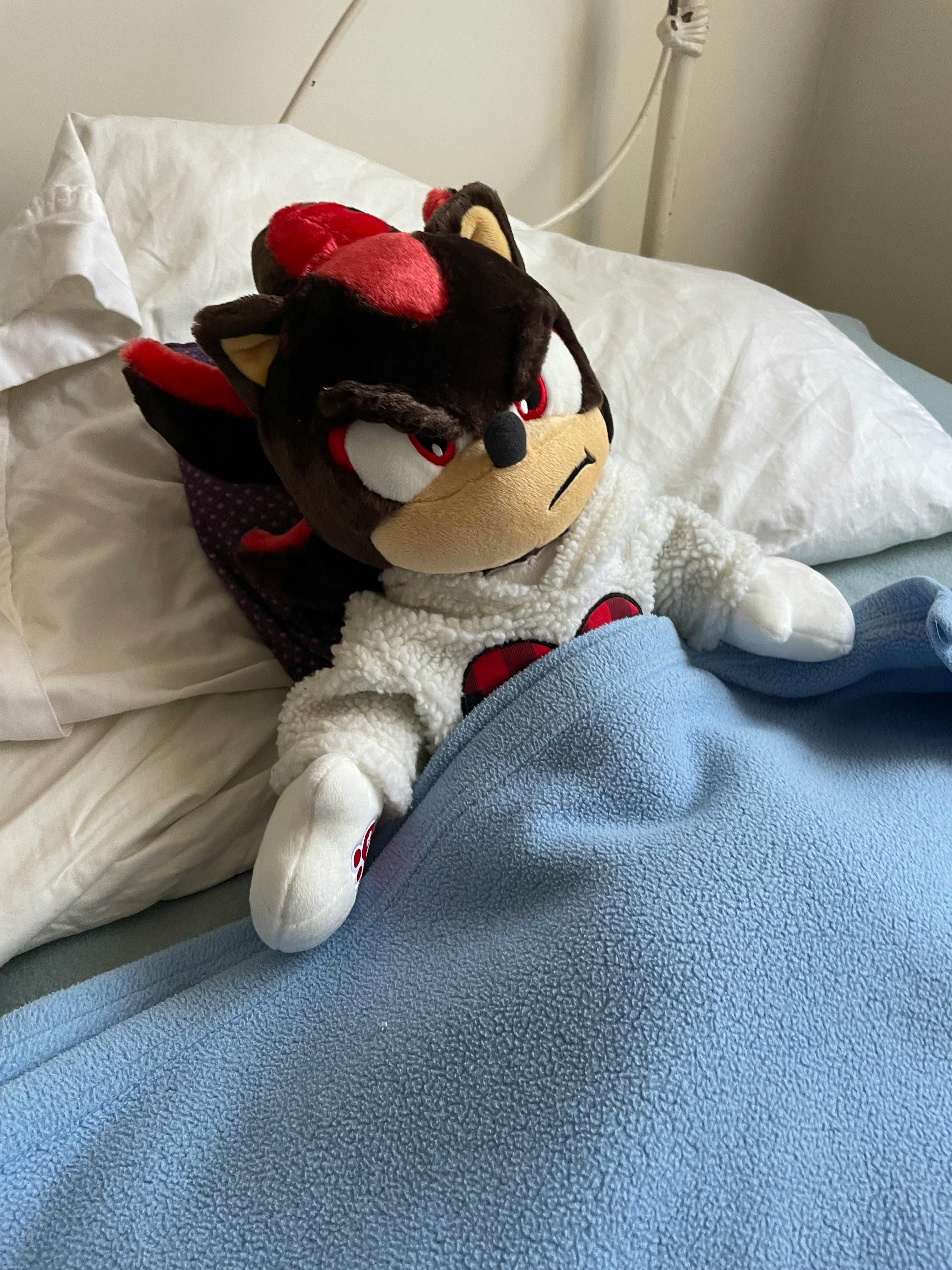 user avatar image for norazero