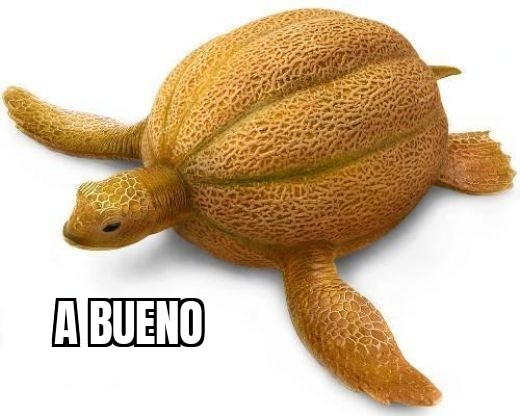 user avatar image for Xylan