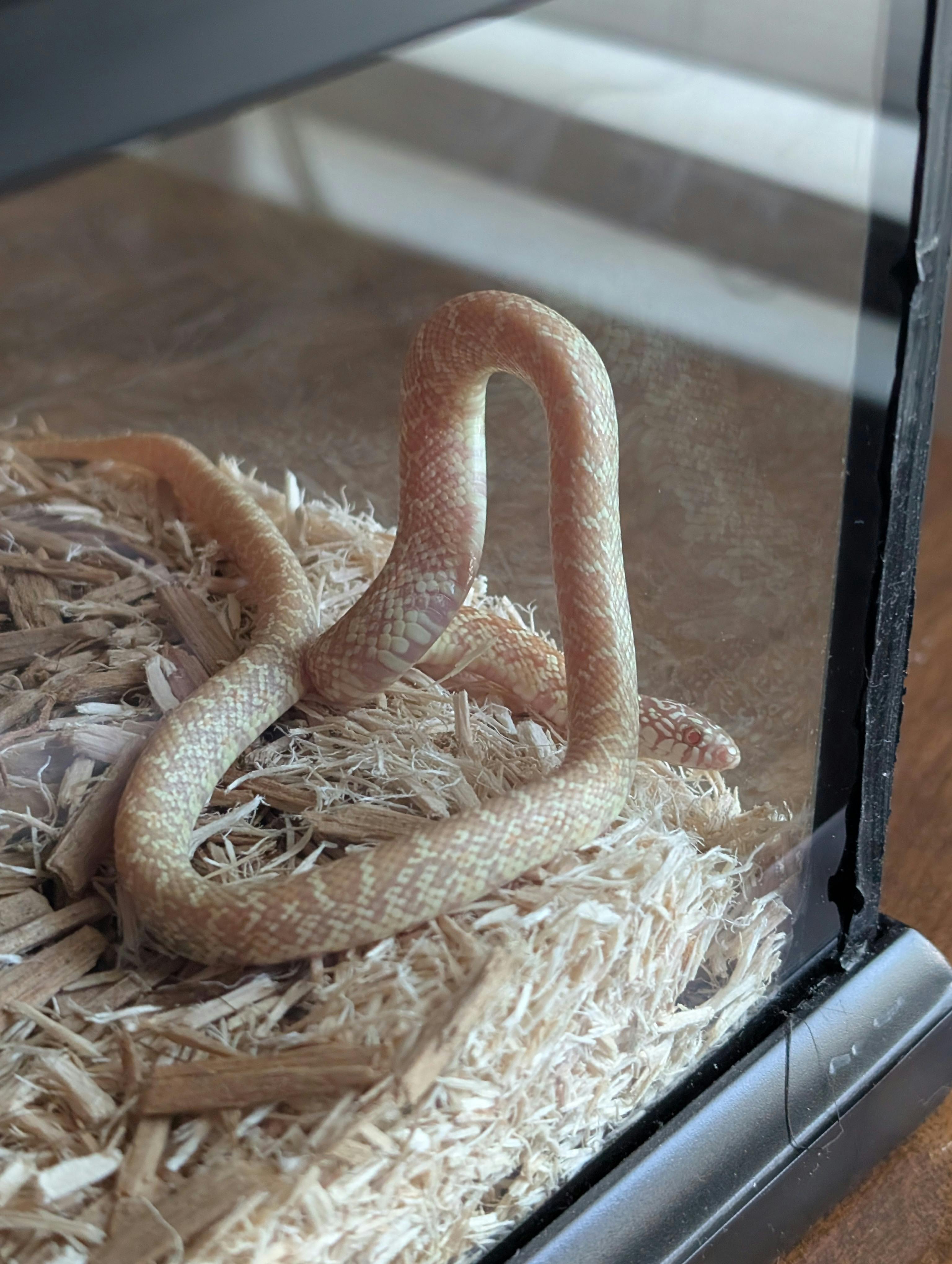 user avatar image for AHutch5