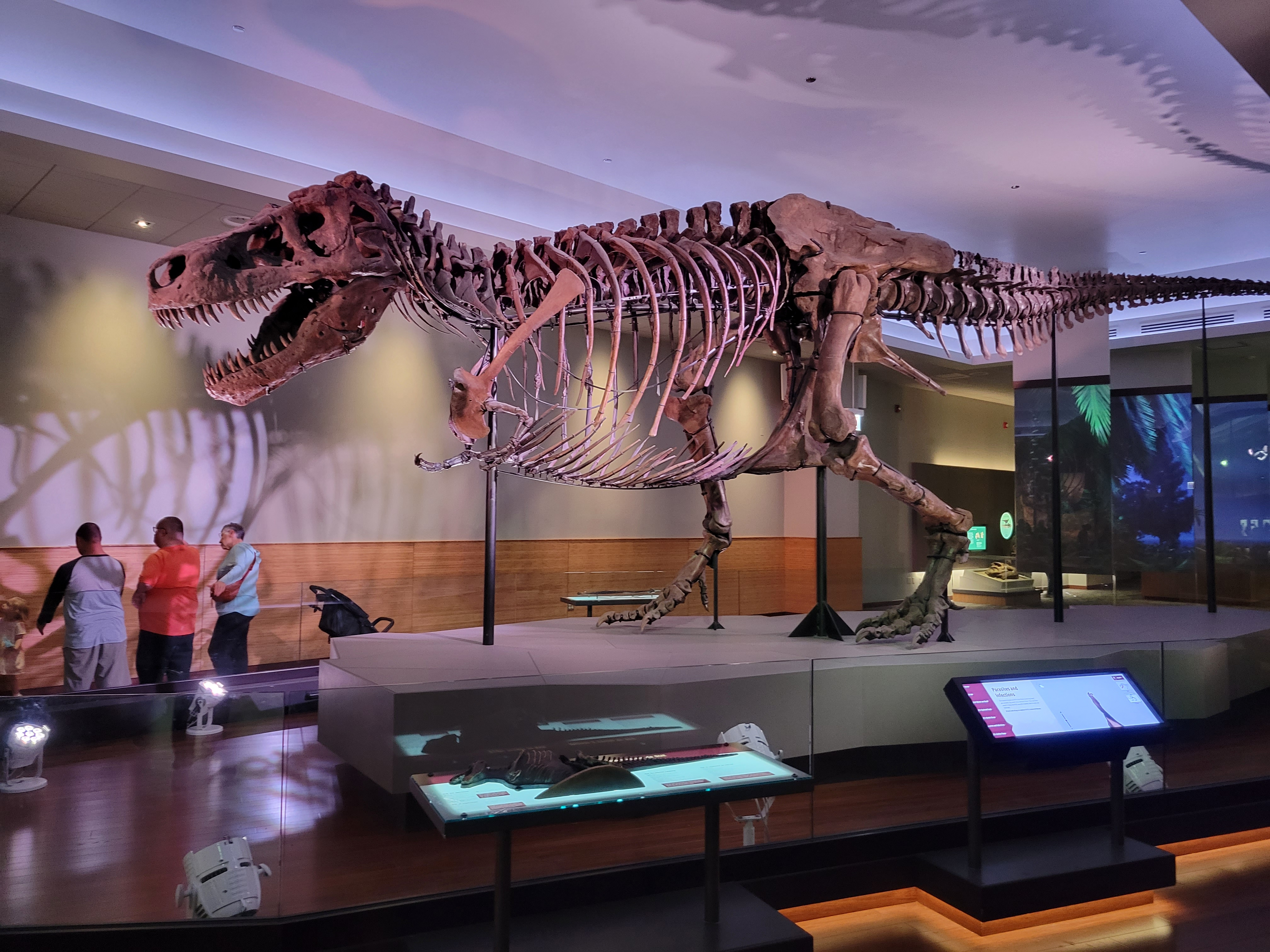 user avatar image for Angel