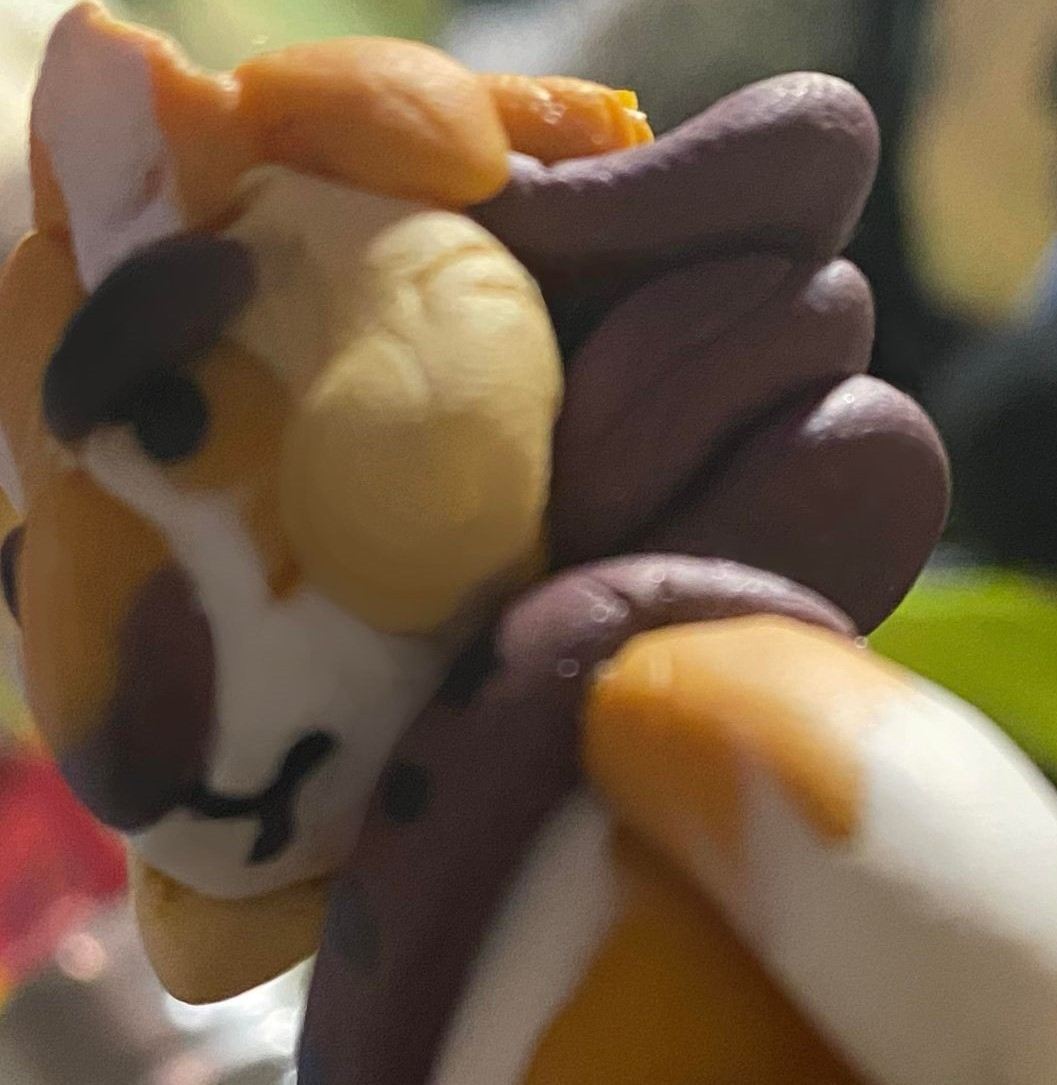 user avatar image for Bubbasbobas