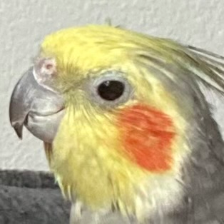 user avatar image for Ven