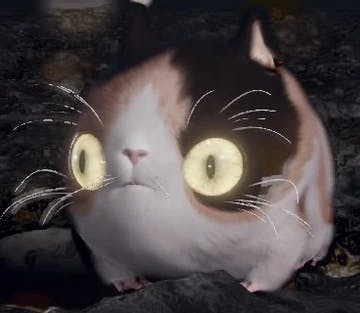 user avatar image for Sigilbeckons