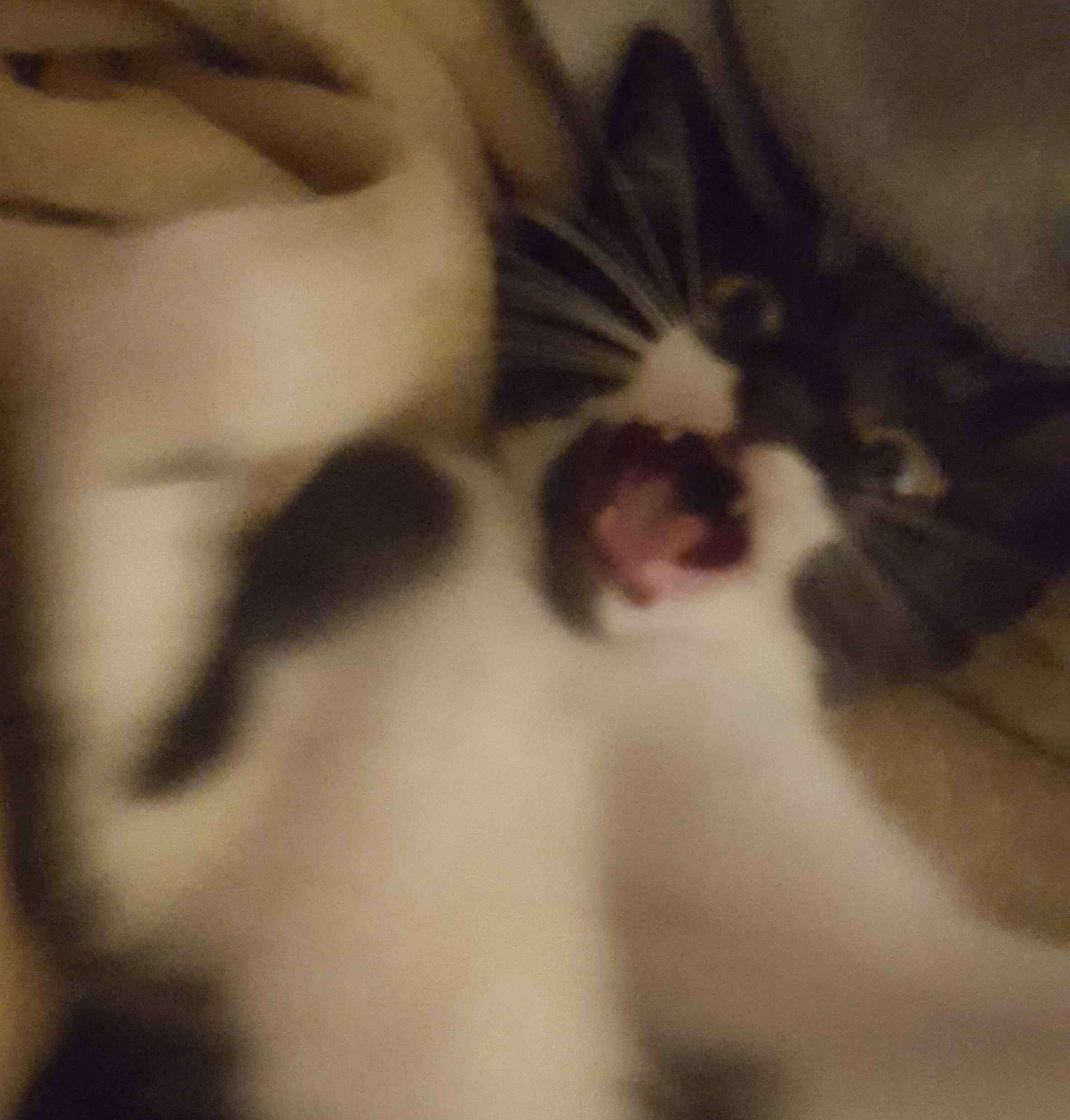 user avatar image for Cait