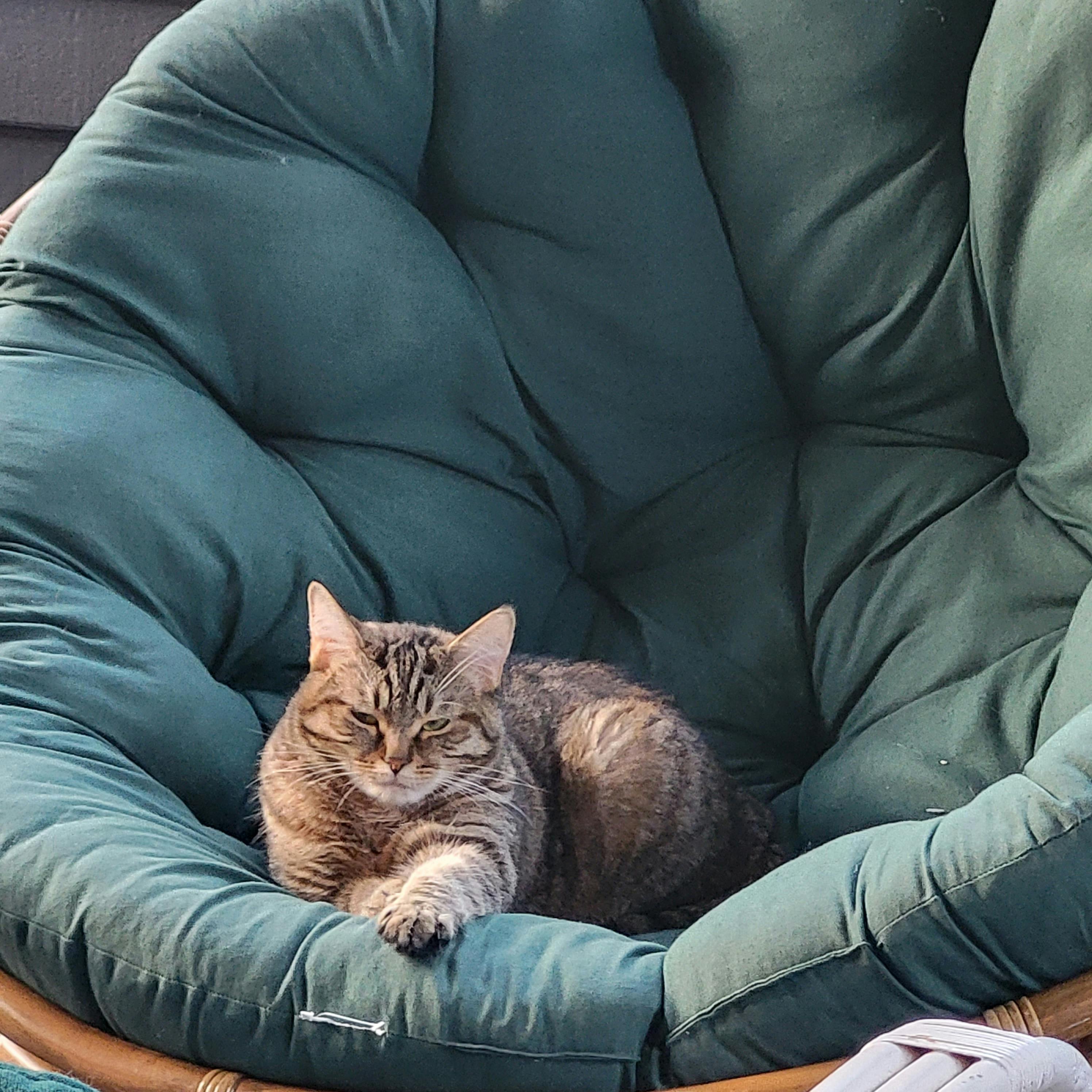 user avatar image for Heather