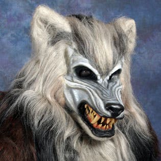 user avatar image for Wolf Corlett