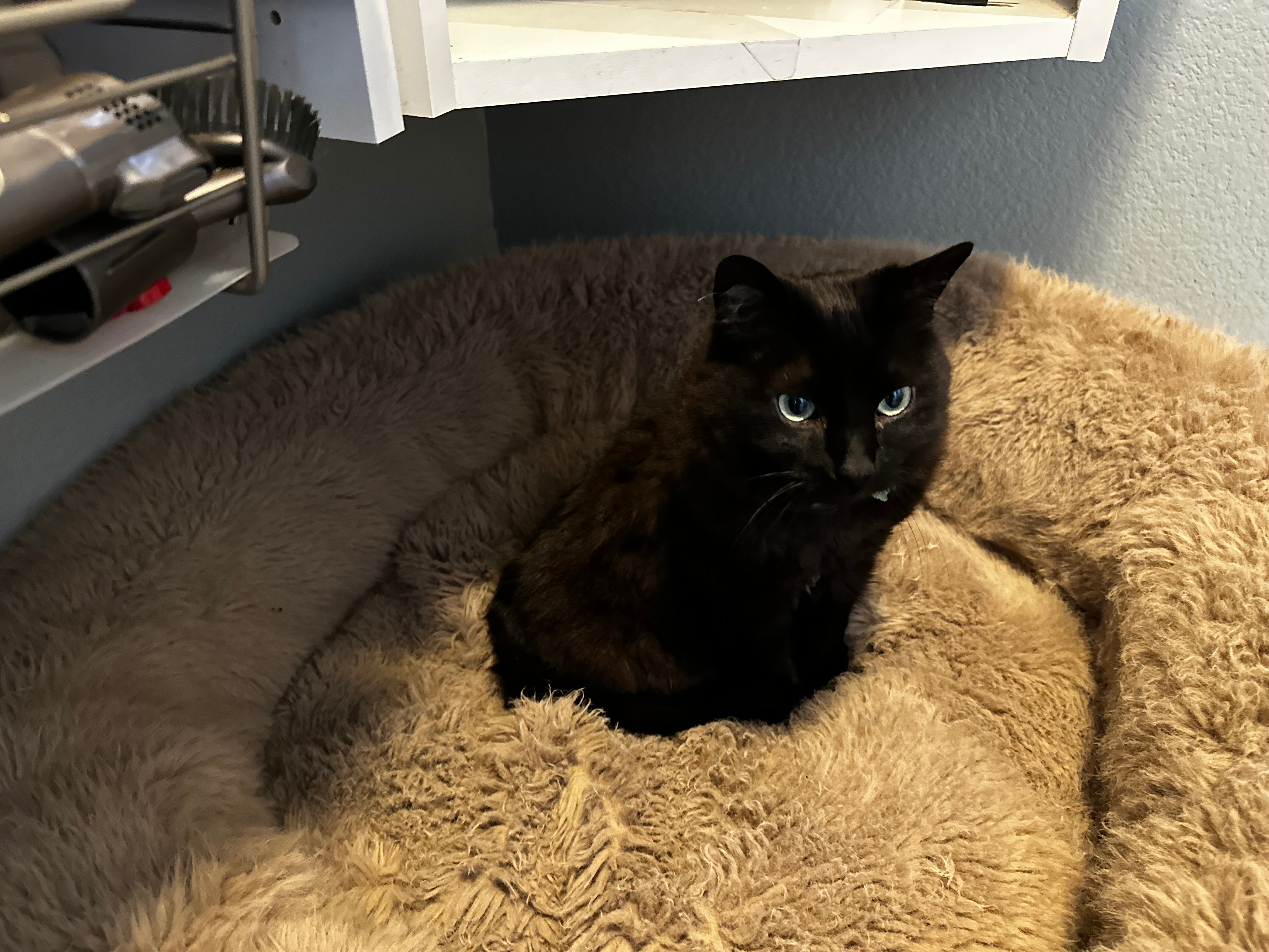 user avatar image for Matt Maccaux