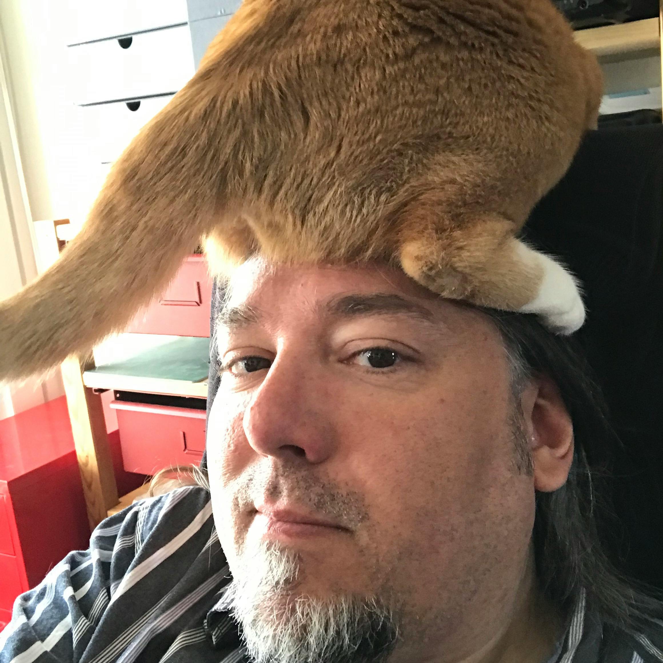 user avatar image for Thomas Hverring